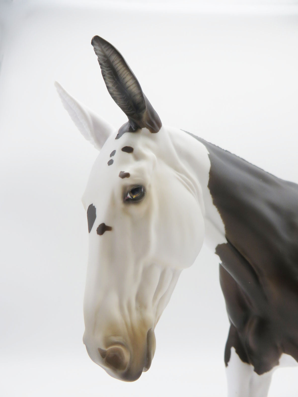 Jackpot - OOAK Bay Reverse Dapple Spot Mule By Myla Pearce 9/30/22