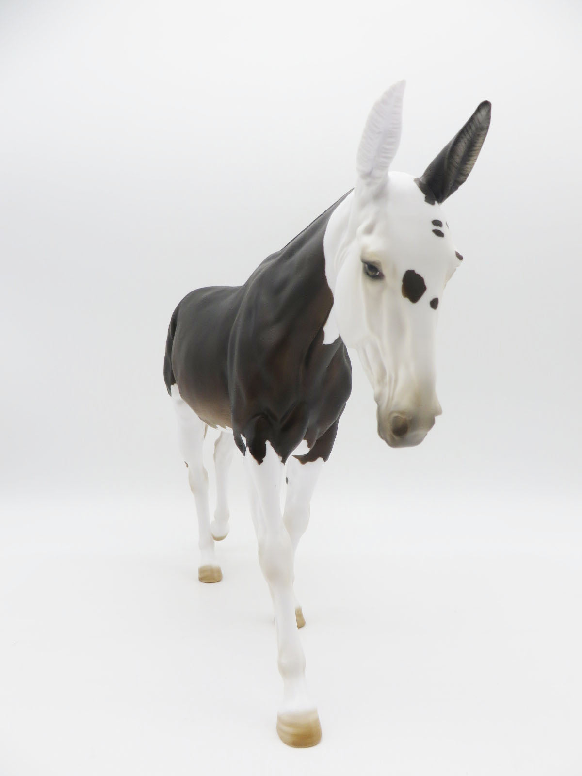 Jackpot - OOAK Bay Reverse Dapple Spot Mule By Myla Pearce 9/30/22