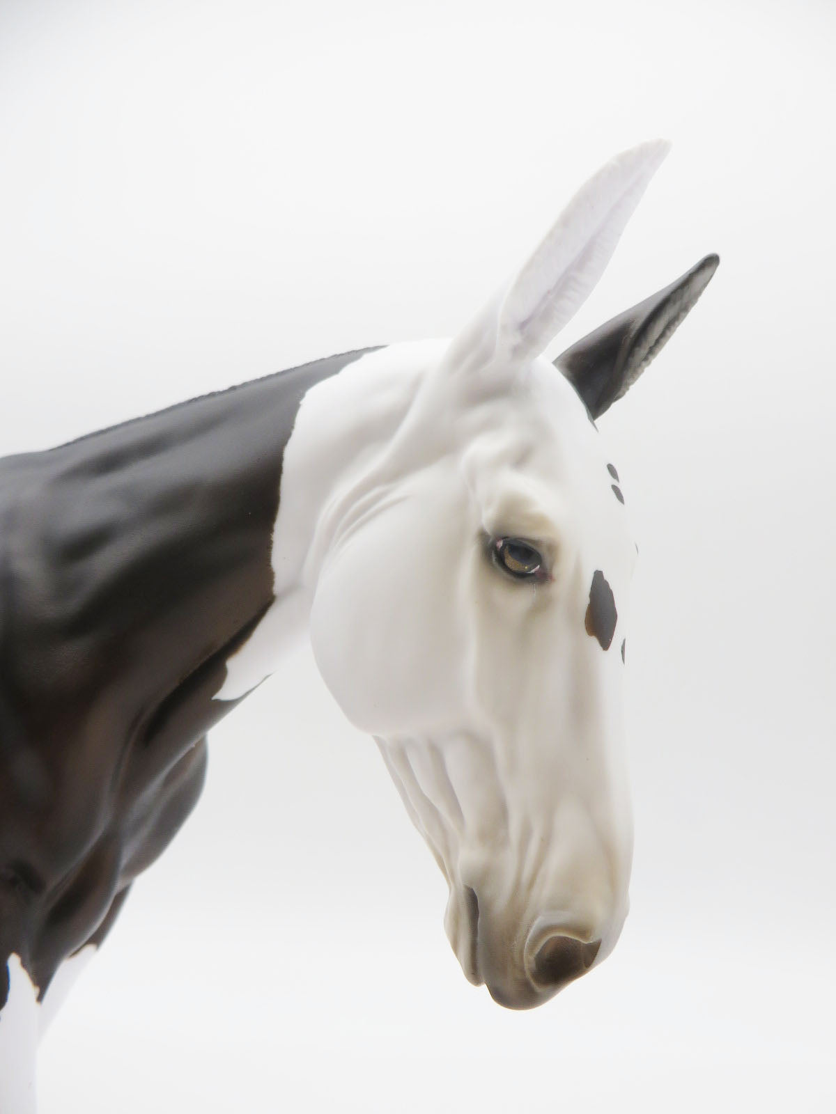 Jackpot - OOAK Bay Reverse Dapple Spot Mule By Myla Pearce 9/30/22