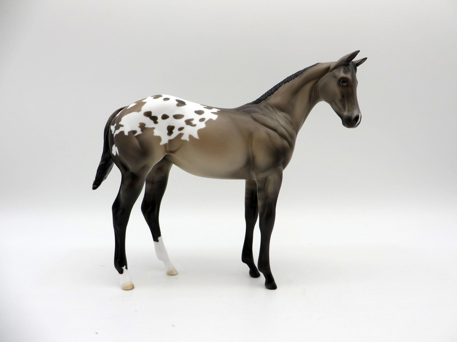 Jackson-OOAK Appaloosa Weanling Painted by Ellen Robbins EQ 21