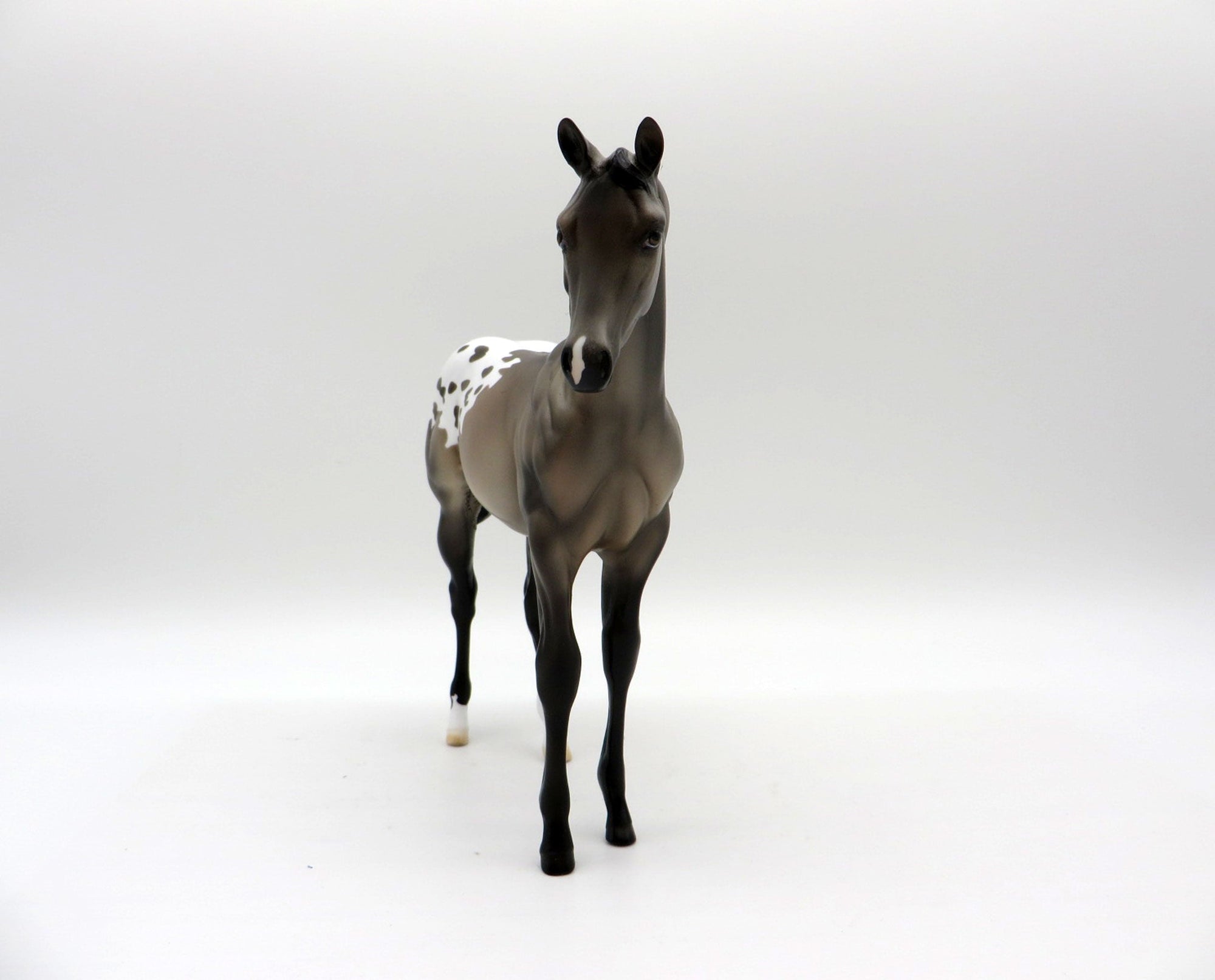 Jackson-OOAK Appaloosa Weanling Painted by Ellen Robbins EQ 21