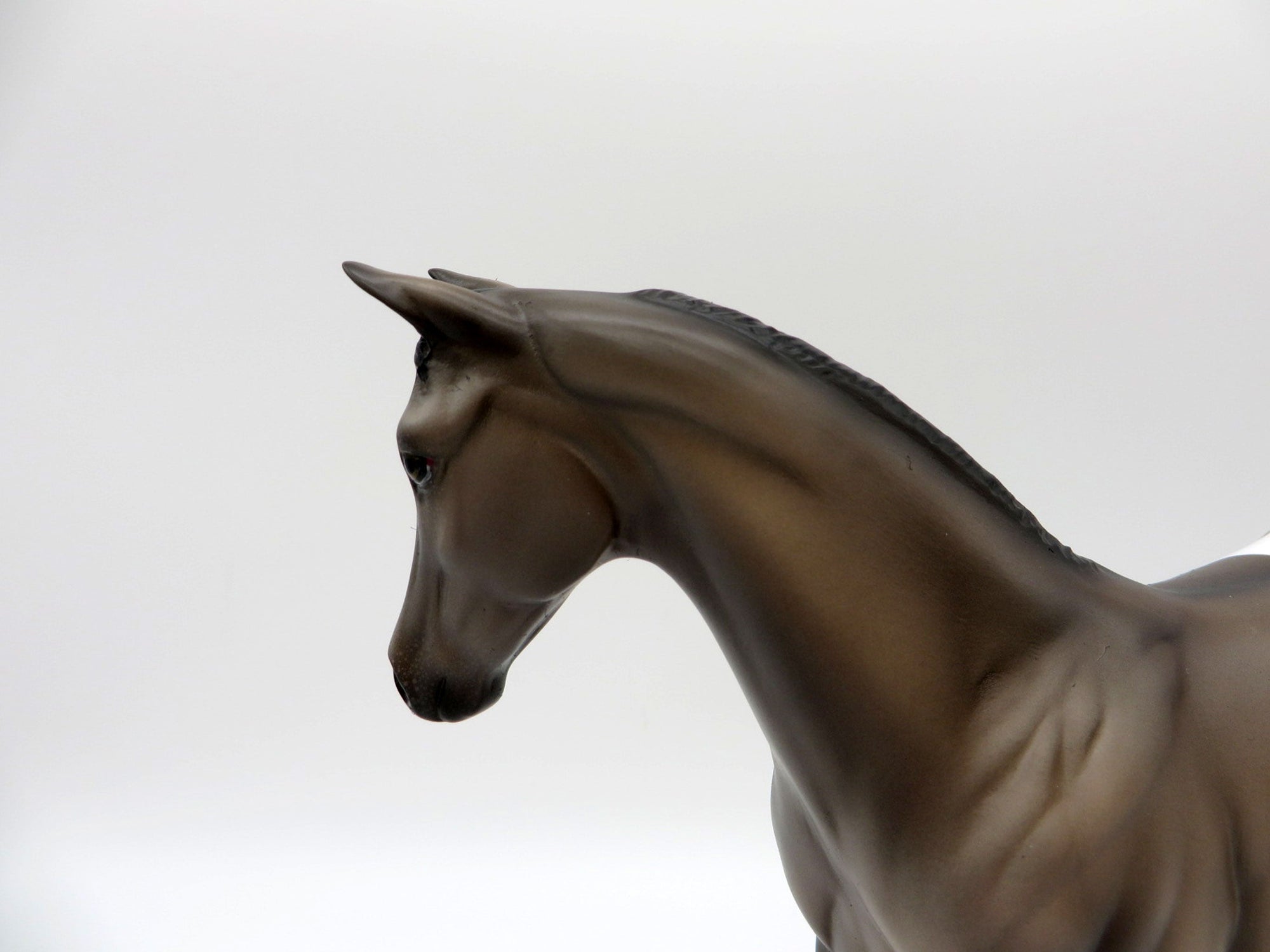 Jackson-OOAK Appaloosa Weanling Painted by Ellen Robbins EQ 21