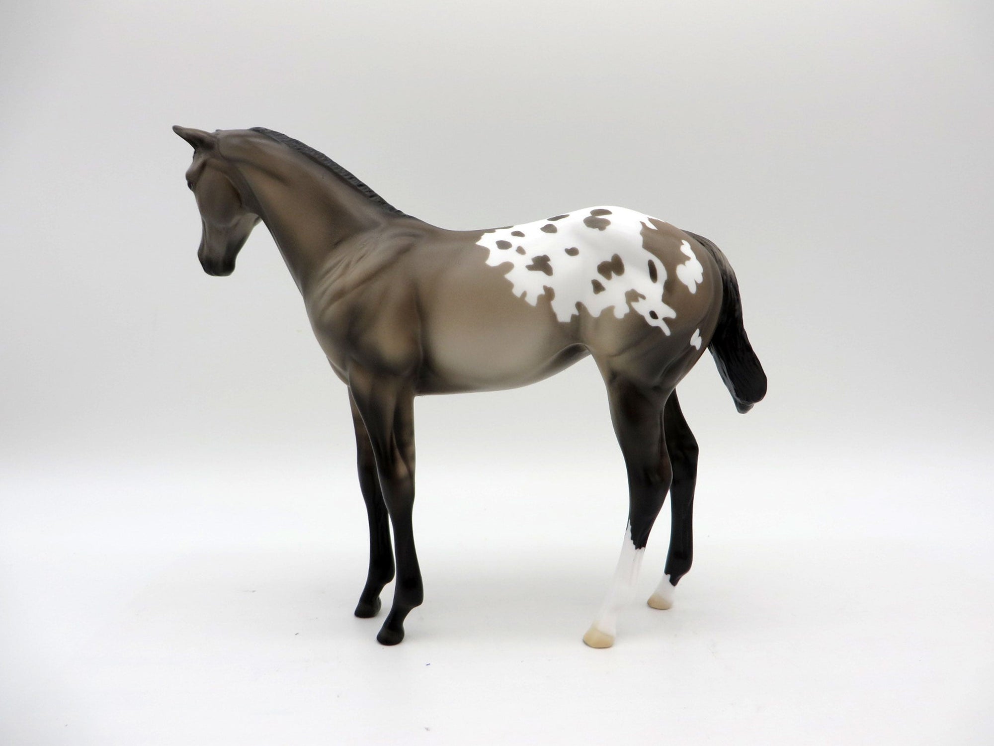 Jackson-OOAK Appaloosa Weanling Painted by Ellen Robbins EQ 21