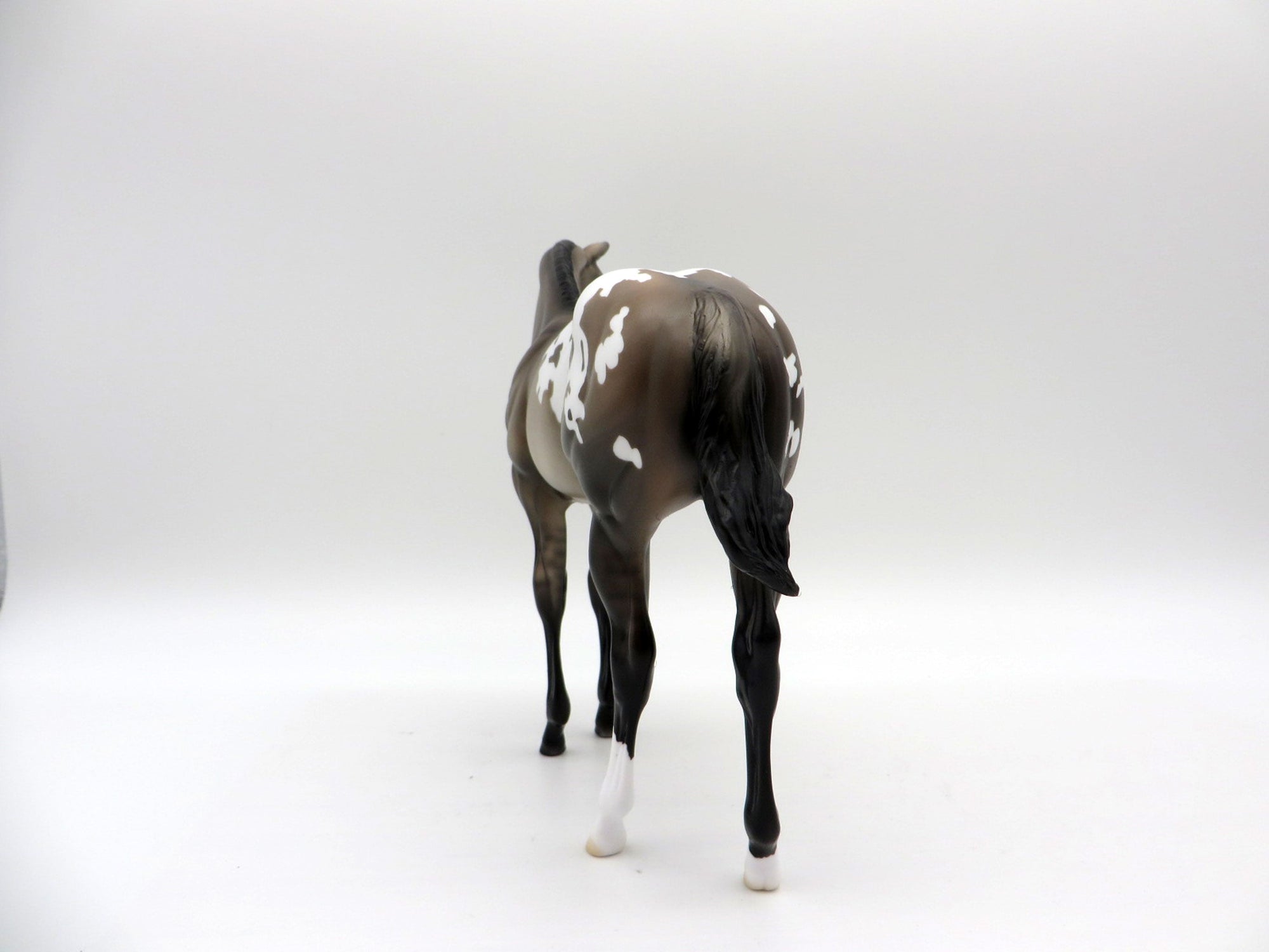 Jackson-OOAK Appaloosa Weanling Painted by Ellen Robbins EQ 21