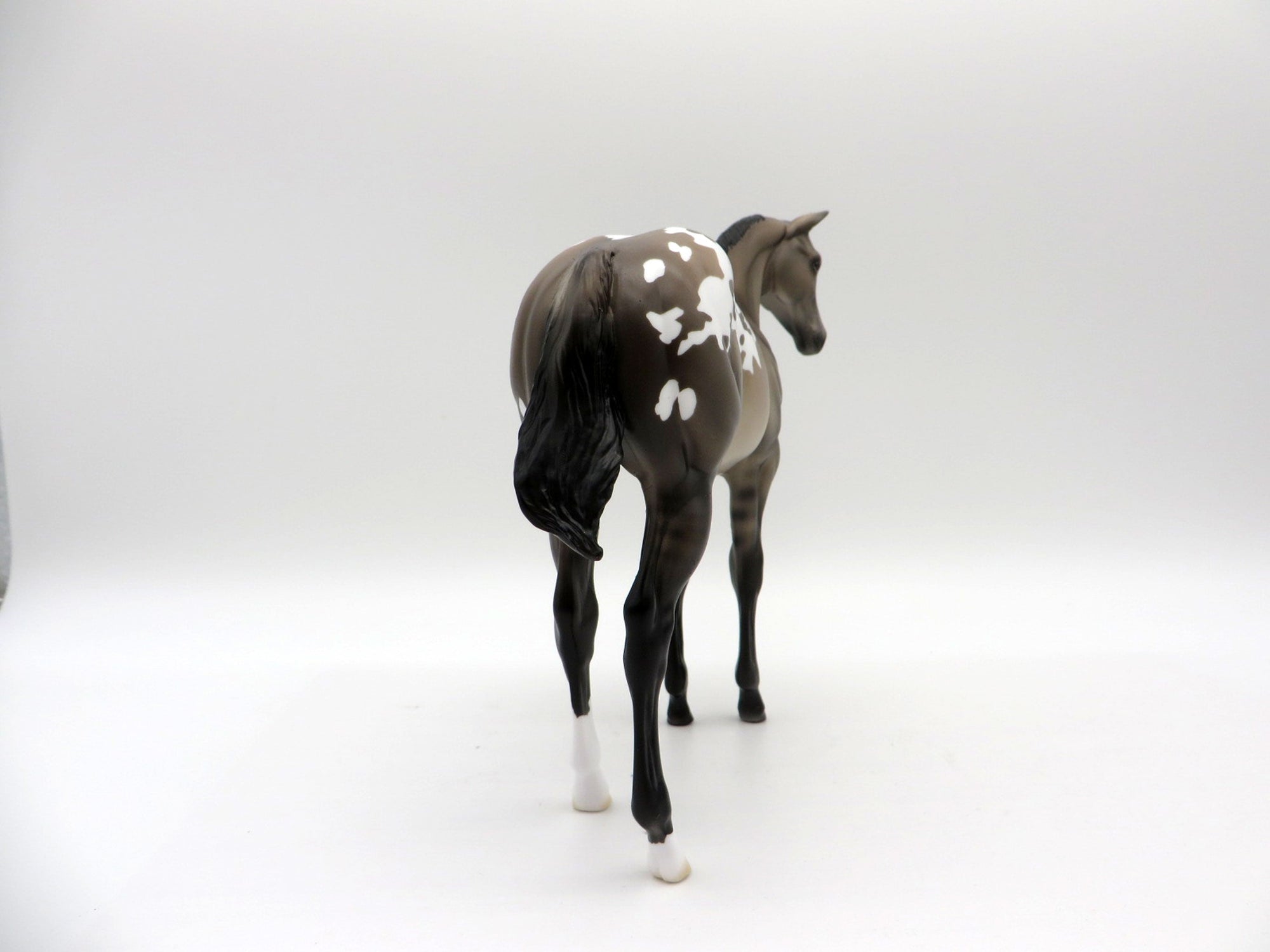 Jackson-OOAK Appaloosa Weanling Painted by Ellen Robbins EQ 21