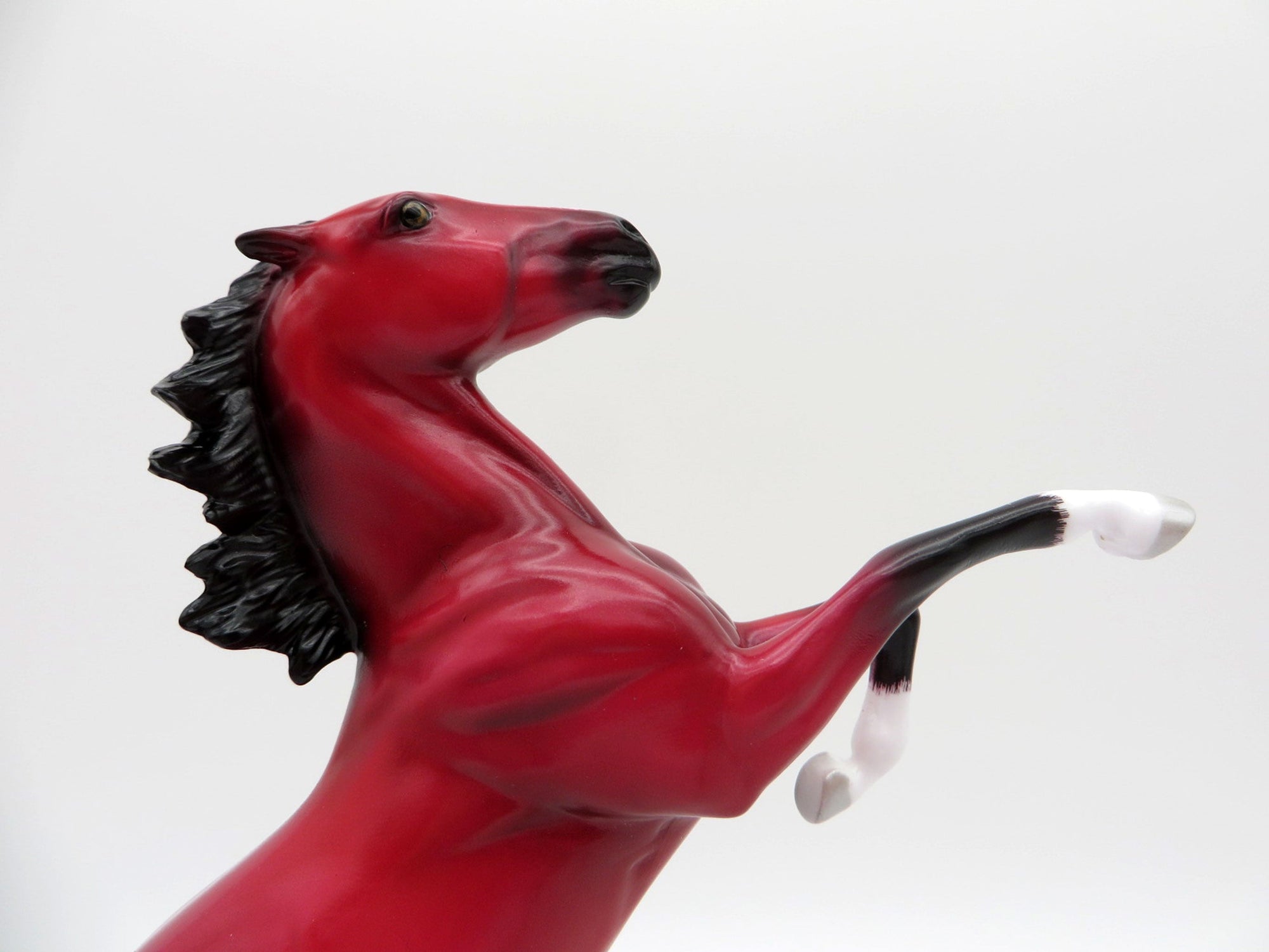 JafaR-LE-5 RUBY DECO REARING PEBBLES EQ 2021