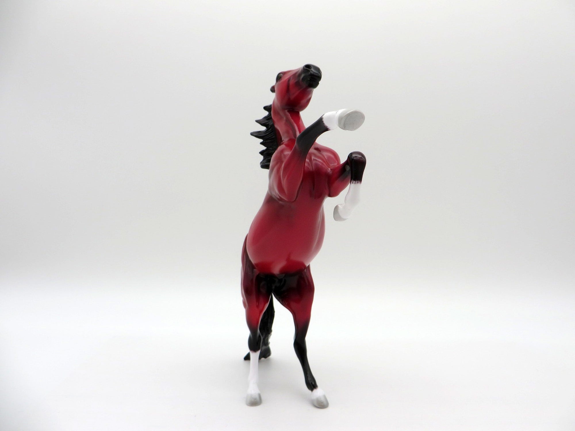 JafaR-LE-5 RUBY DECO REARING PEBBLES EQ 2021