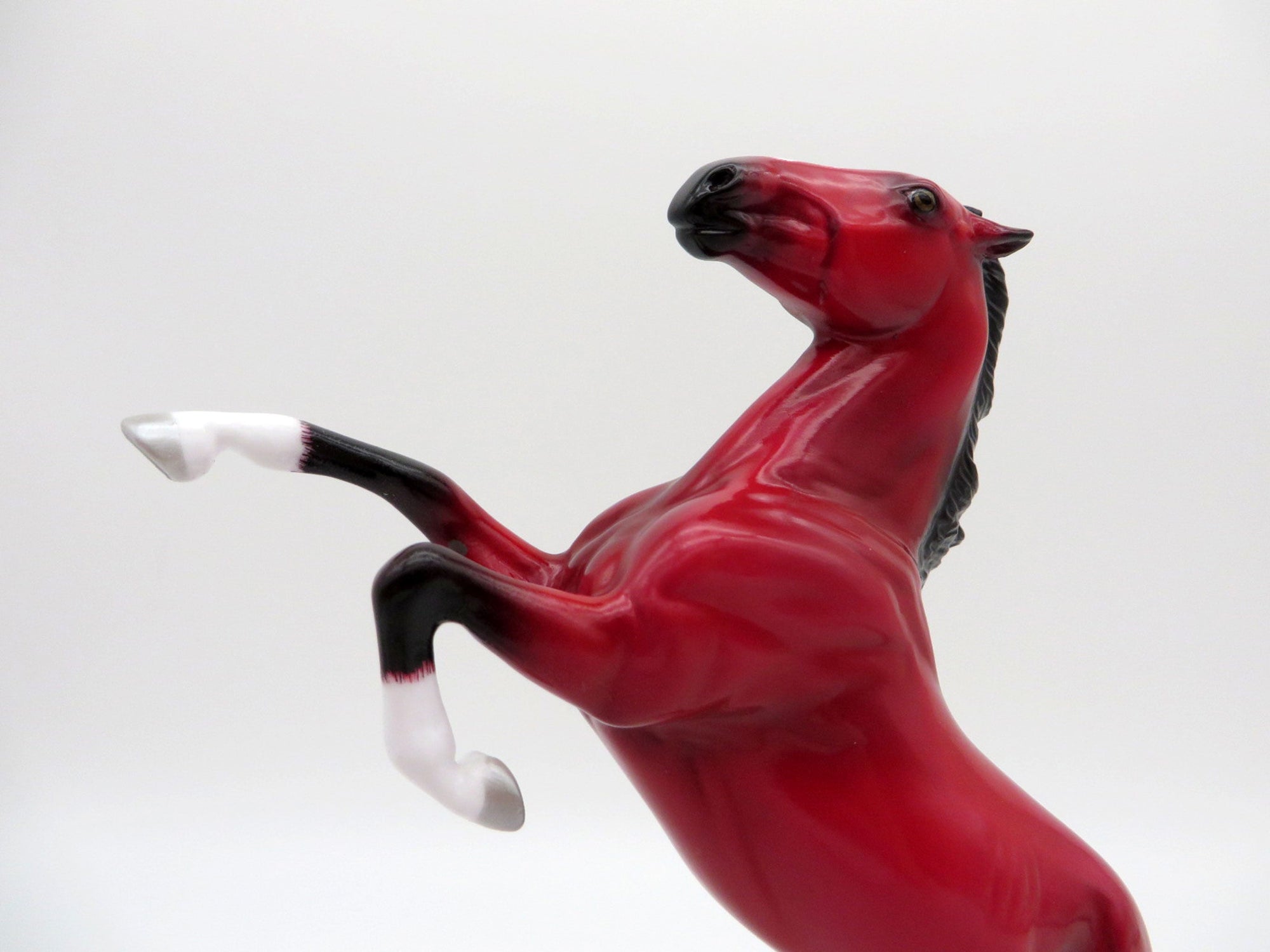 JafaR-LE-5 RUBY DECO REARING PEBBLES EQ 2021