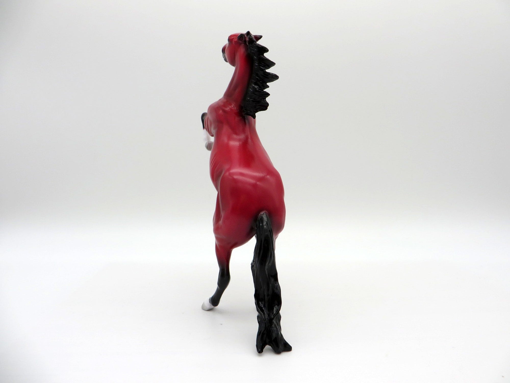 JafaR-LE-5 RUBY DECO REARING PEBBLES EQ 2021