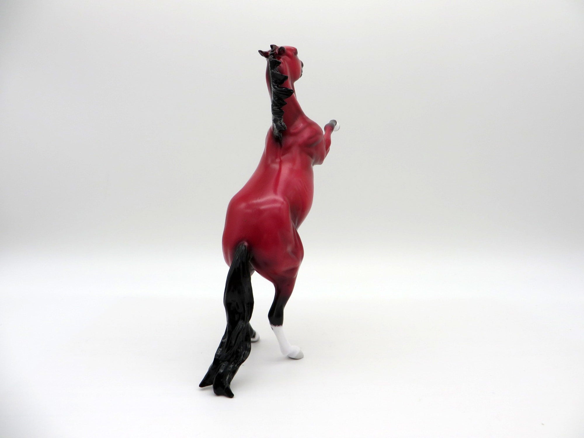 JafaR-LE-5 RUBY DECO REARING PEBBLES EQ 2021