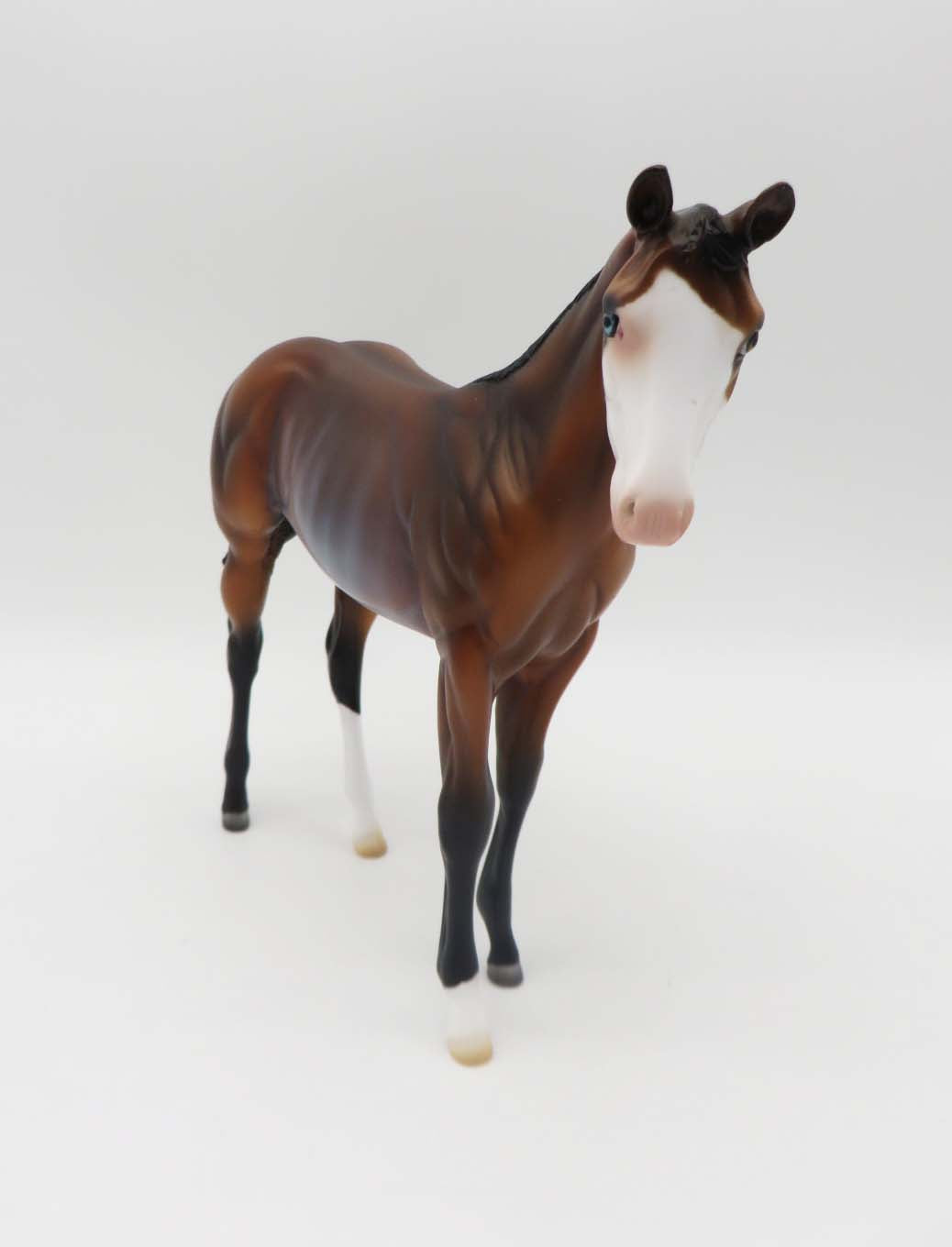 Jail Bird-OOAK Bay Rabicano Weanling Painted by Ashley- SHCF23