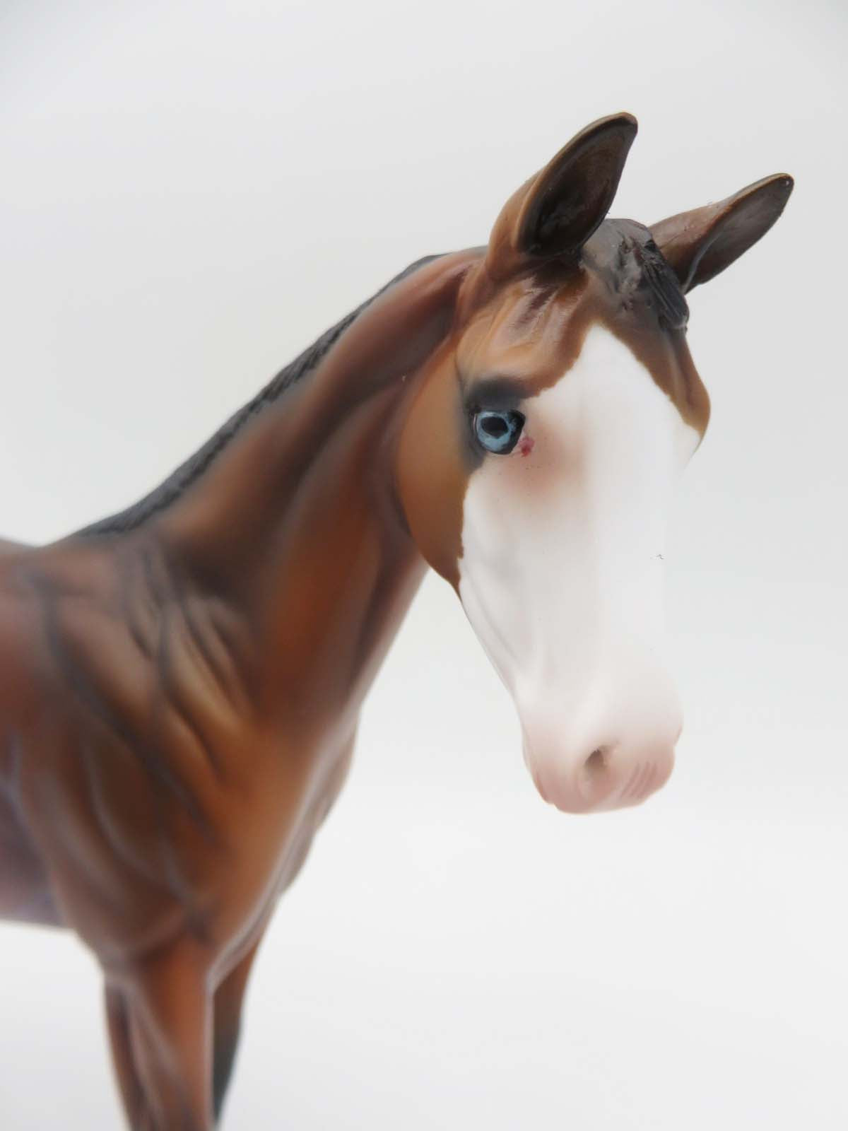 Jail Bird-OOAK Bay Rabicano Weanling Painted by Ashley- SHCF23