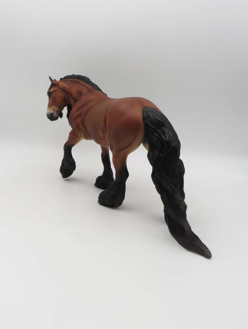 Jamie - LE 30 - Lightly Dappled Bay Irish Cob By Jess Hamill - SHCF23