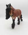 Jamie - LE 30 - Lightly Dappled Bay Irish Cob By Jess Hamill - SHCF23