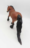 Jamie - LE 30 - Lightly Dappled Bay Irish Cob By Jess Hamill - SHCF23