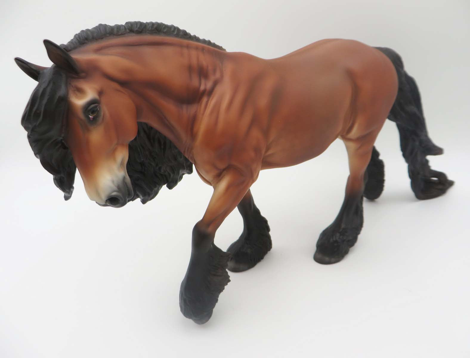 Jamie - LE 30 - Lightly Dappled Bay Irish Cob By Jess Hamill - SHCF23