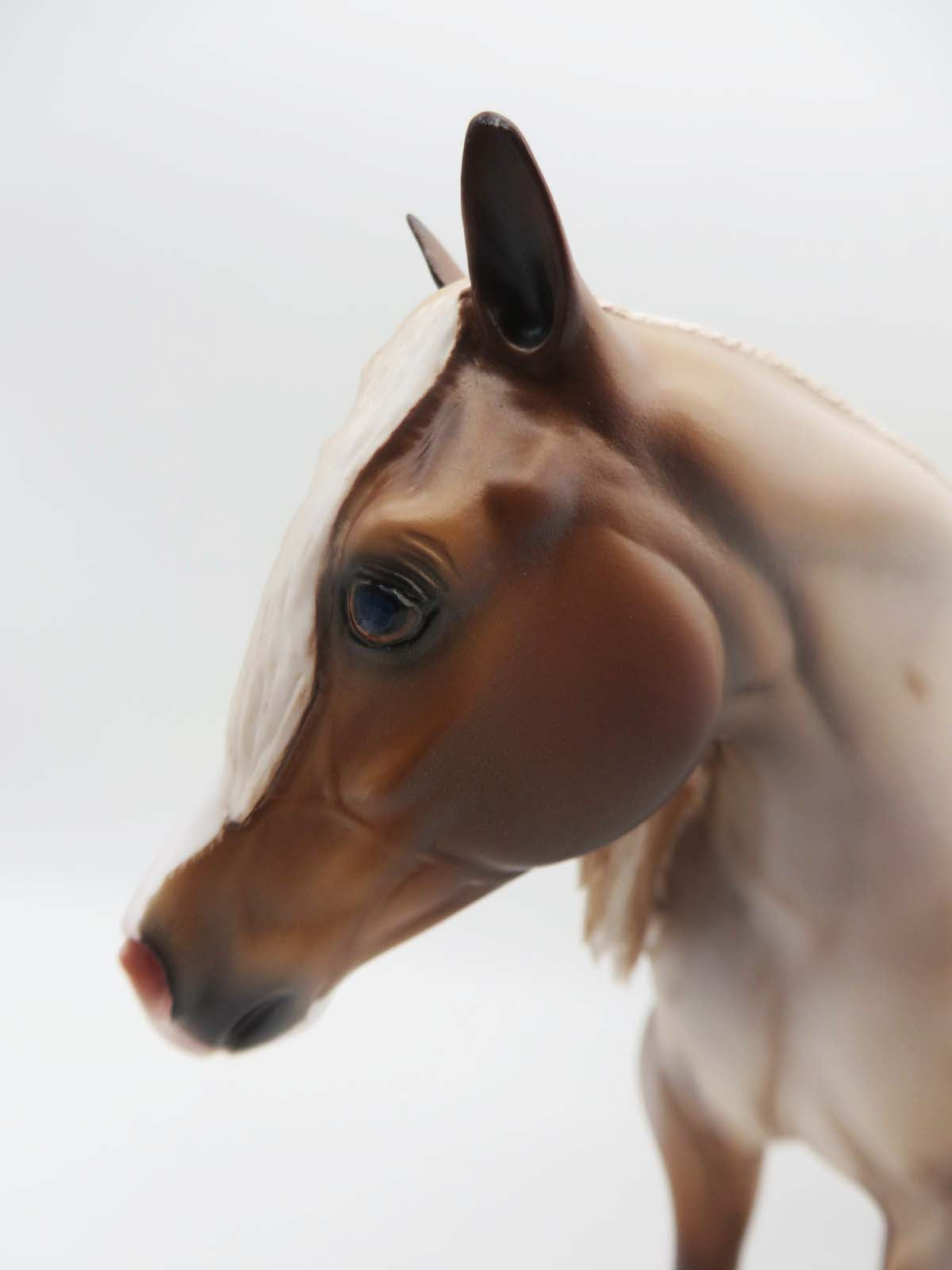 Jamerson - OOAK - Strawberry Roan Ideal Stock Horse By Caroline Boydston BEST OFFER 3/13/23