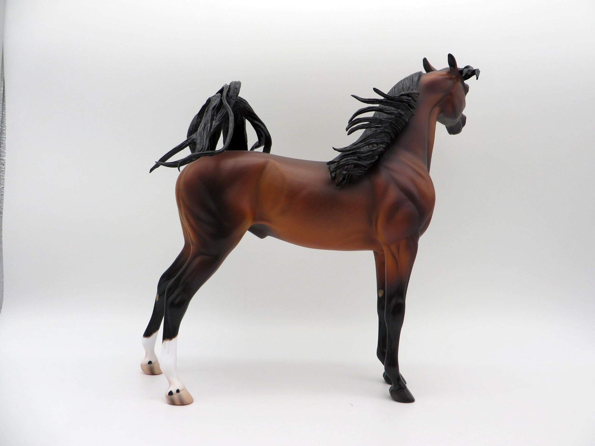 Japur-OOAK Dapple Bay Arabian Stallion SHCF 21