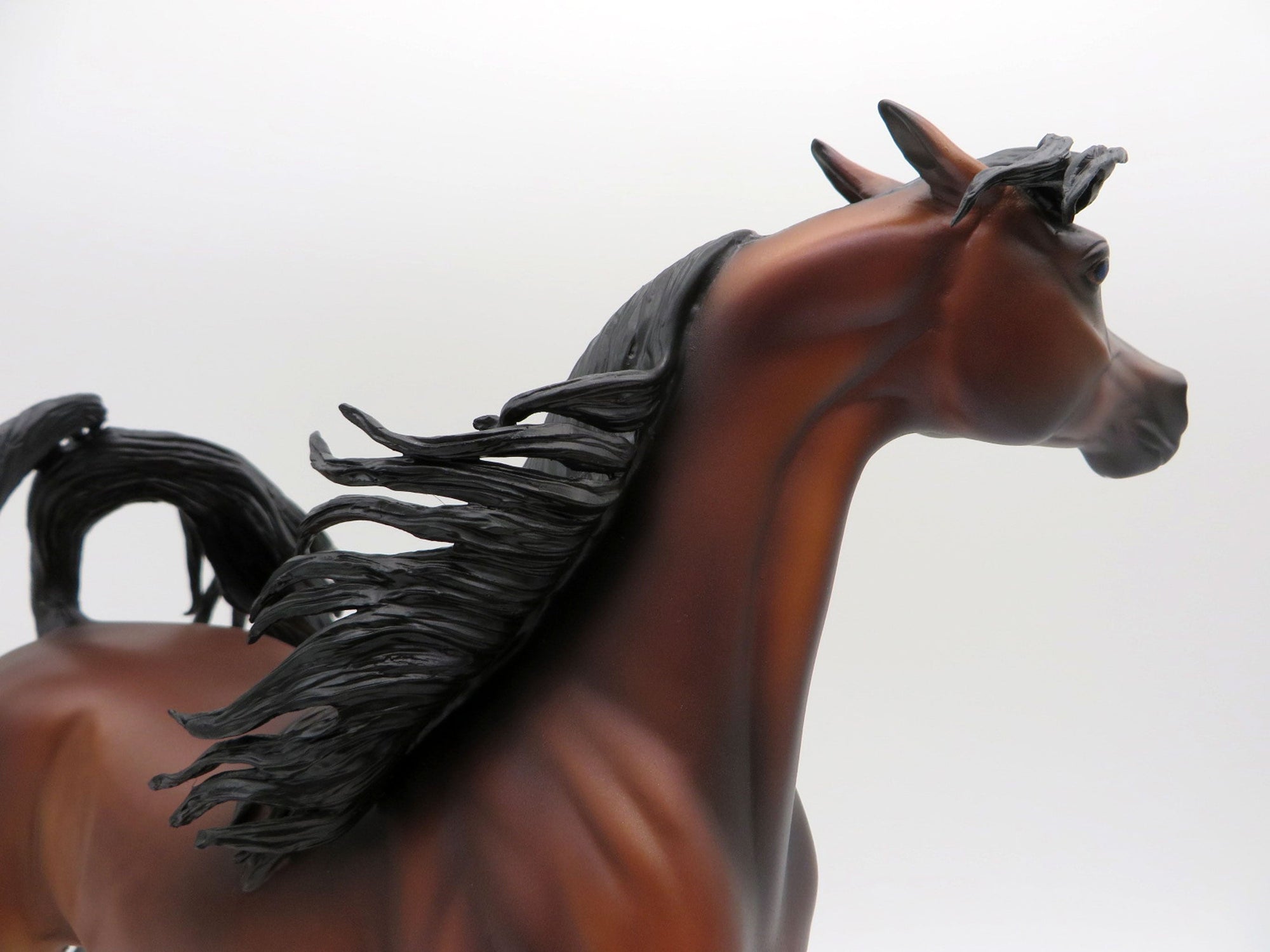 Japur-OOAK Dapple Bay Arabian Stallion SHCF 21