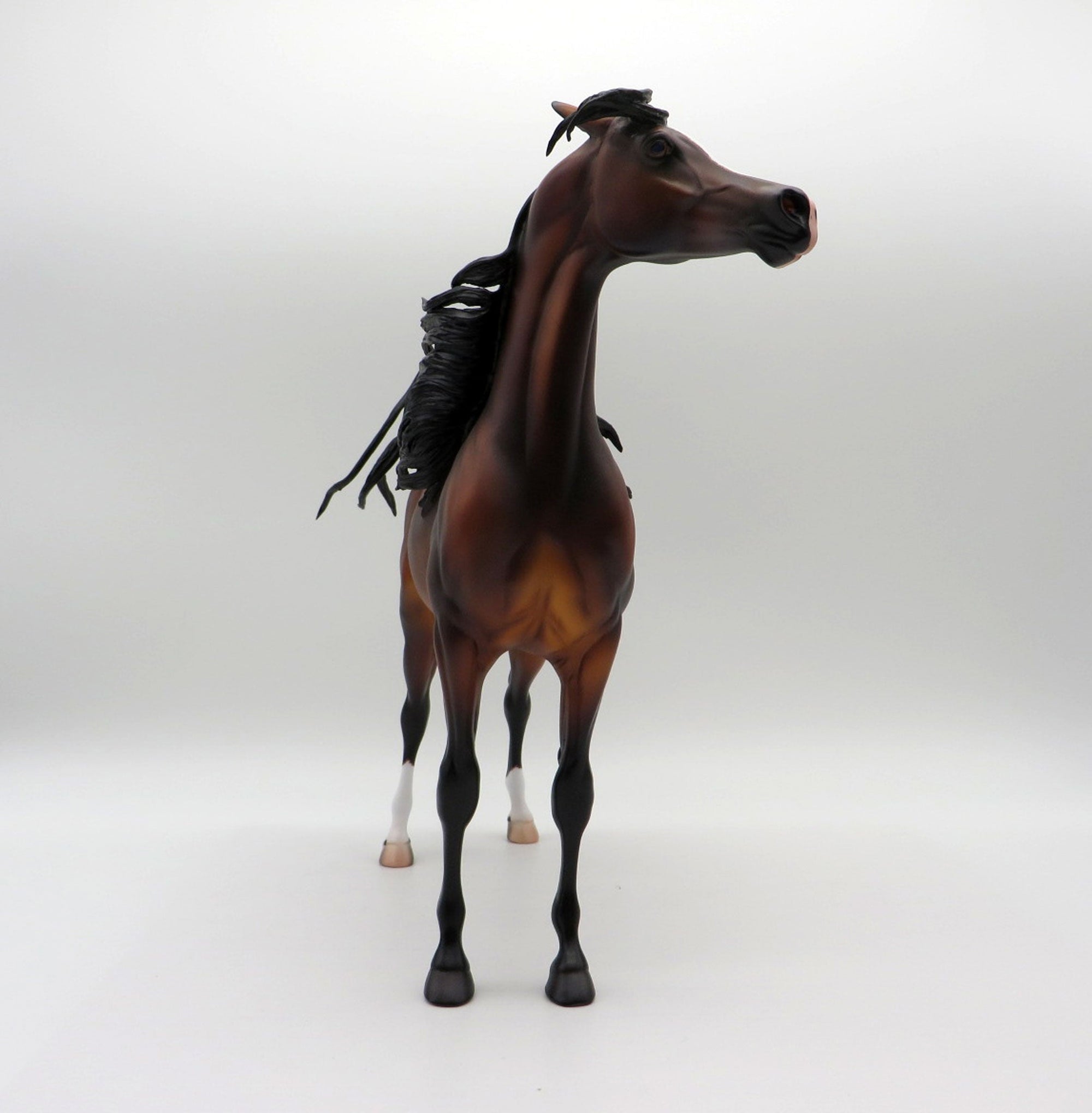 Japur-OOAK Dapple Bay Arabian Stallion SHCF 21