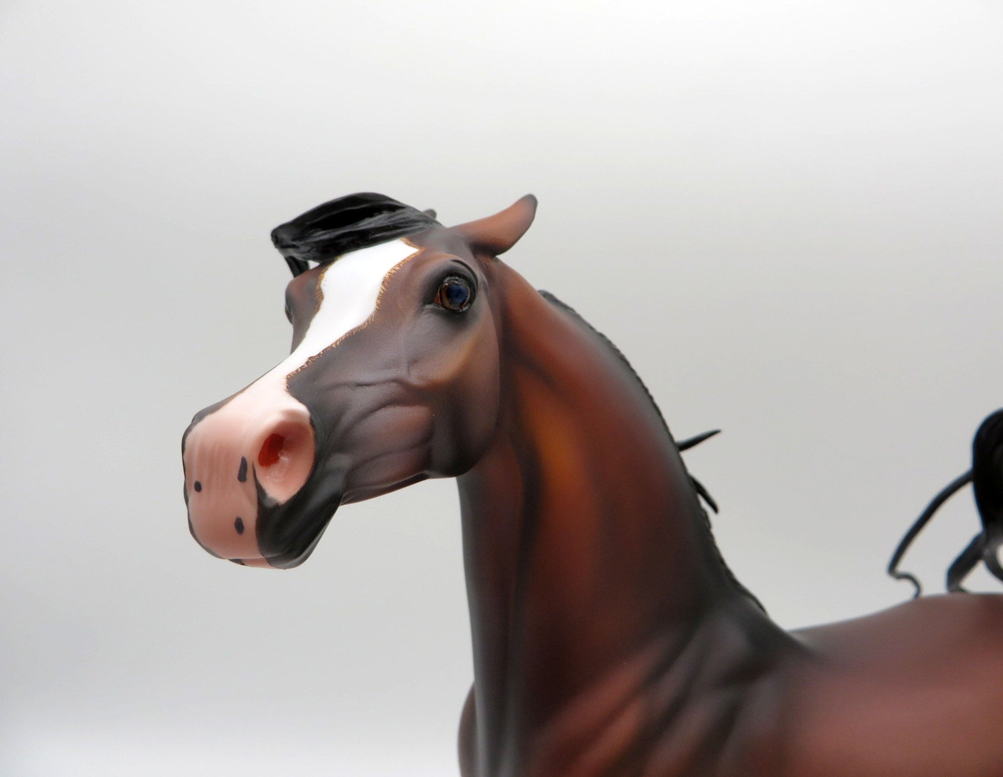 Japur-OOAK Dapple Bay Arabian Stallion SHCF 21