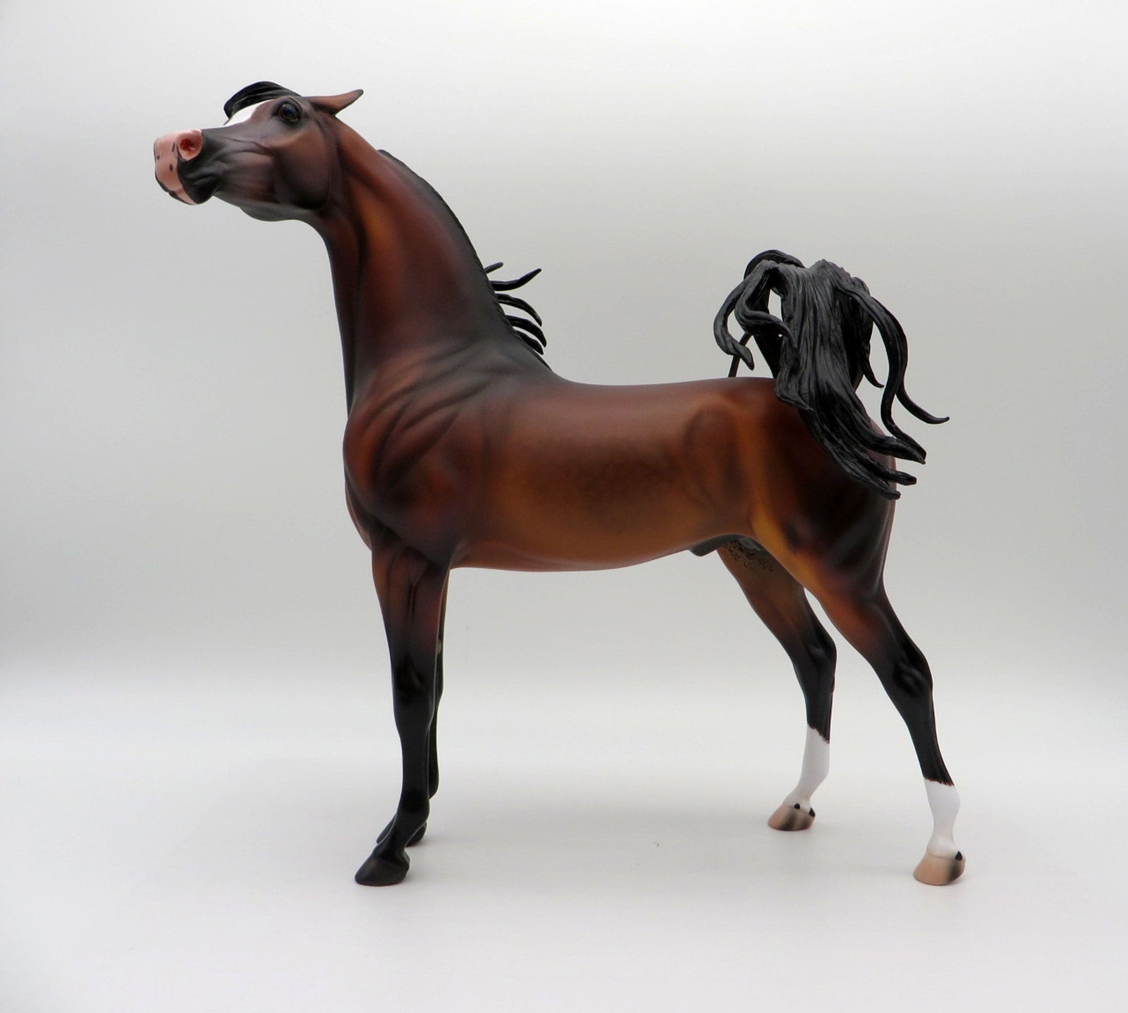 Japur-OOAK Dapple Bay Arabian Stallion SHCF 21
