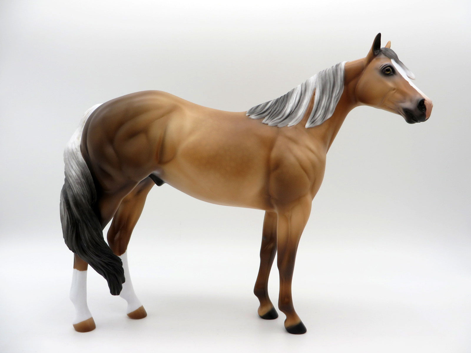 JAREK-LE-6 Sooty Palomino ISH 4/16/21