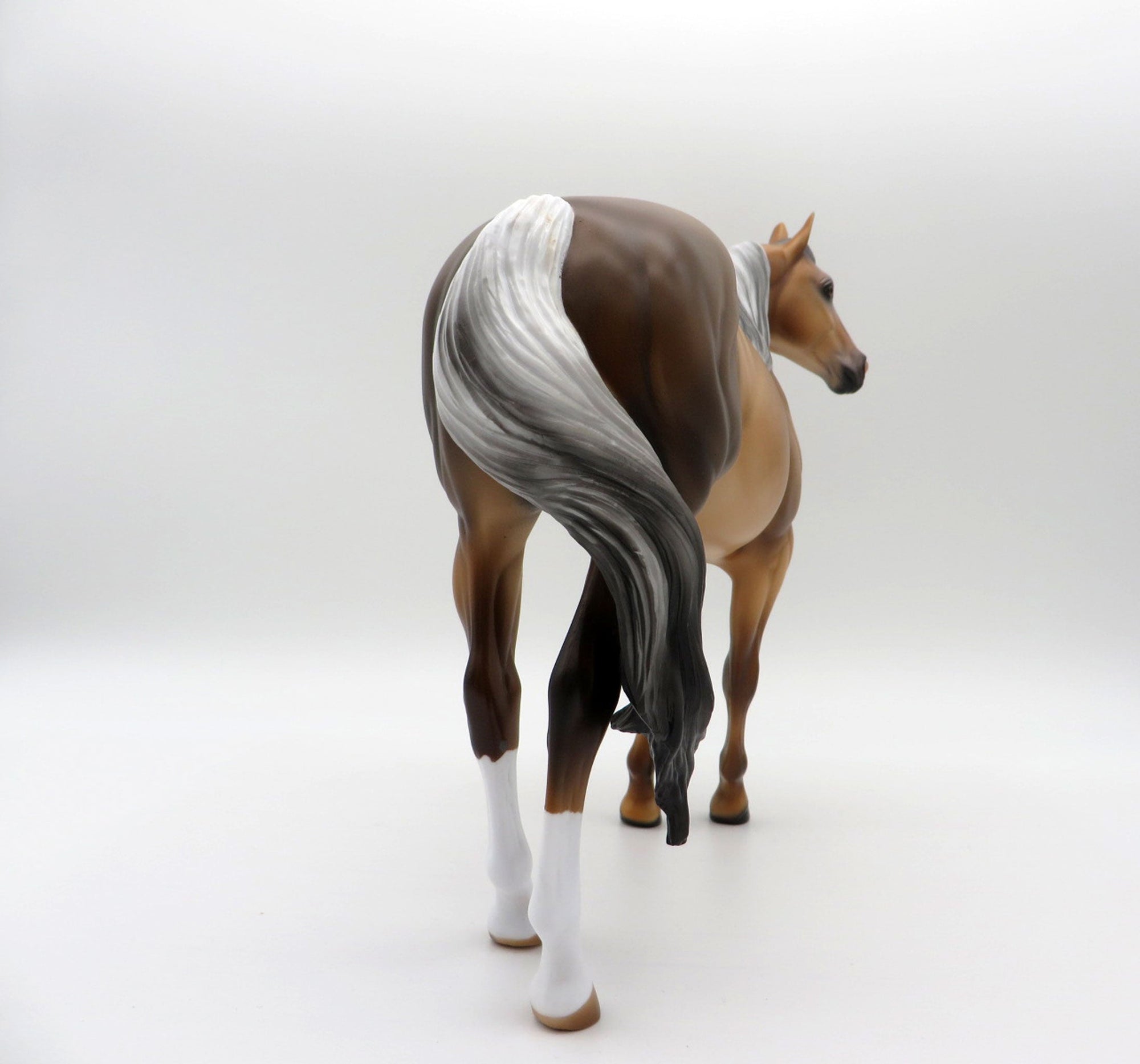 JAREK-LE-6 Sooty Palomino ISH 4/16/21