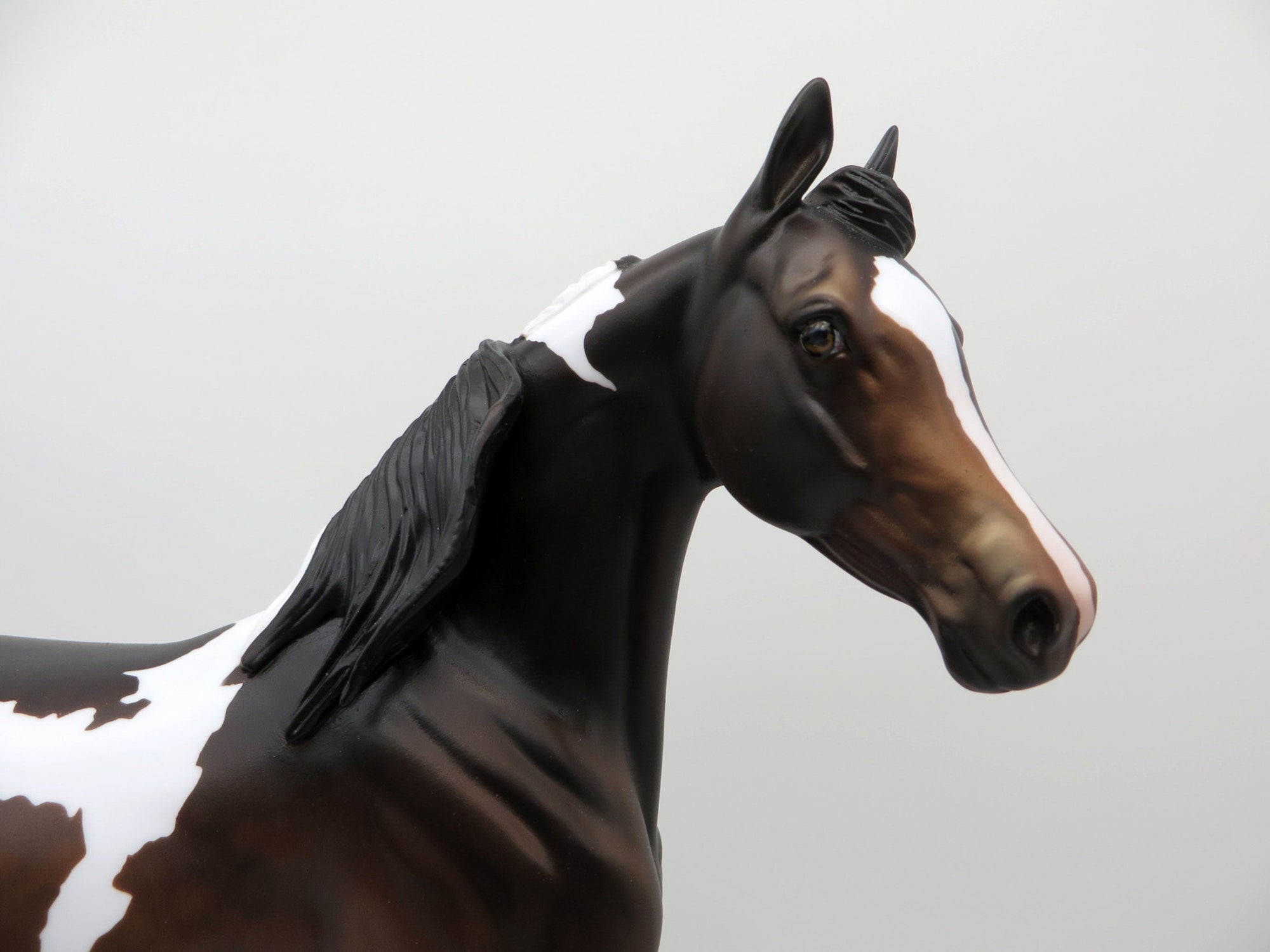 Jasmine-OOAK Bay Paint Arabian Mare SHCF 2021