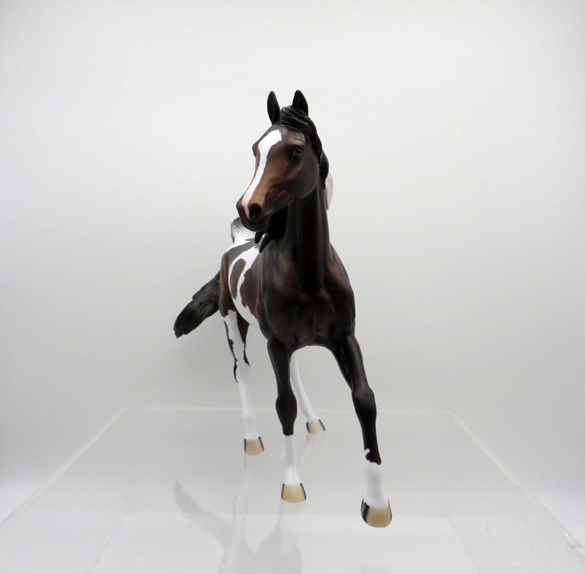 Jasmine-OOAK Bay Paint Arabian Mare SHCF 2021