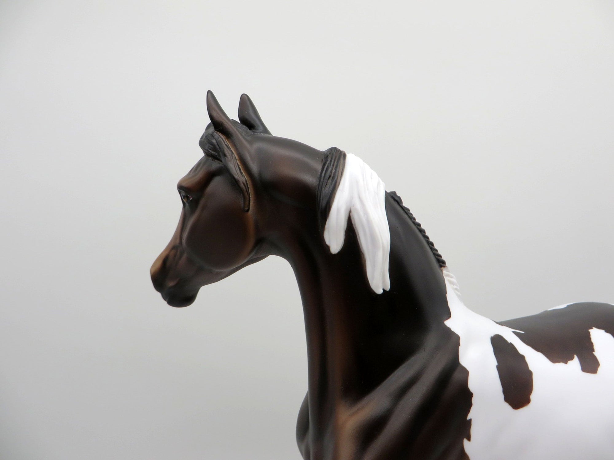 Jasmine-OOAK Bay Paint Arabian Mare SHCF 2021