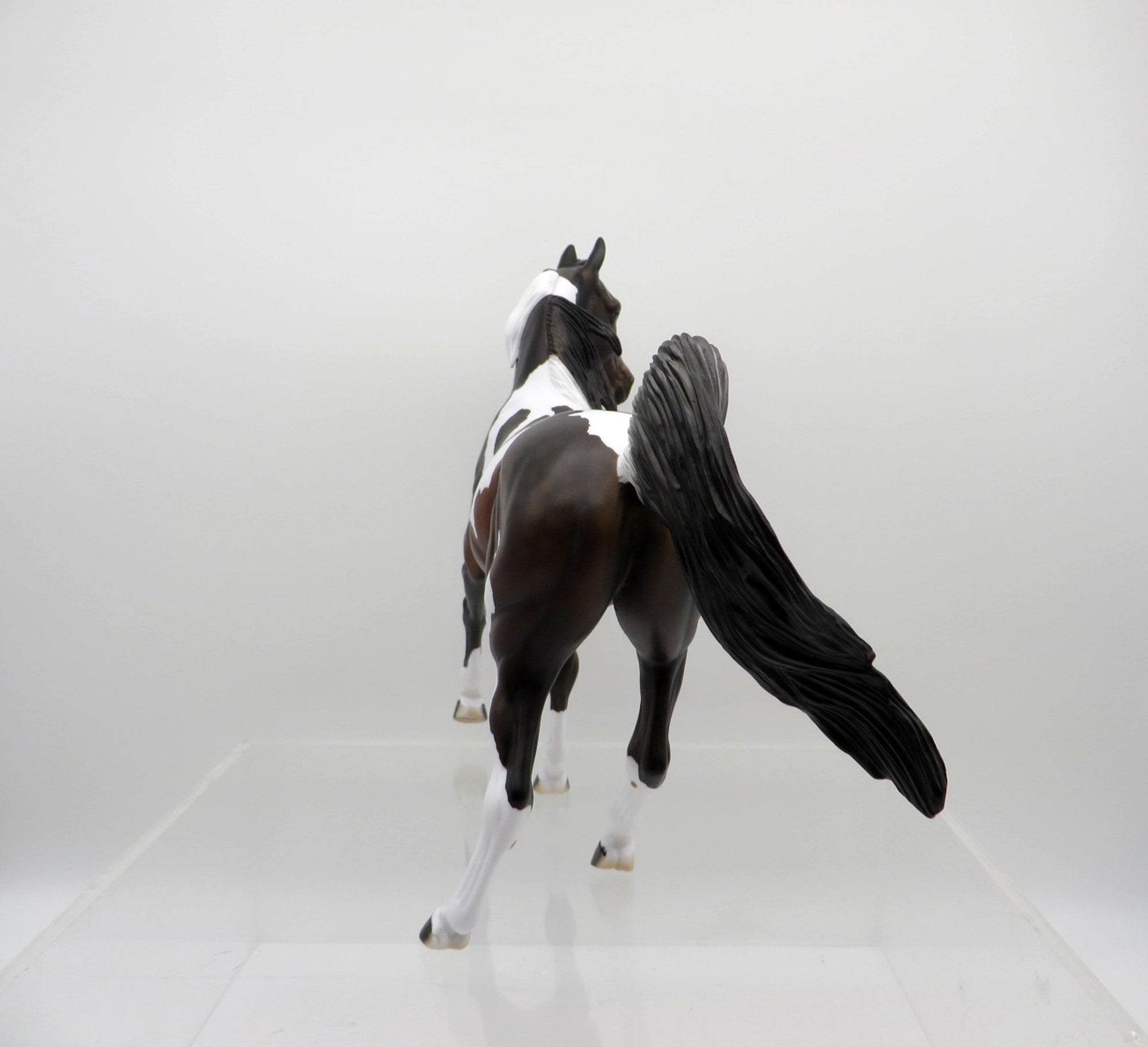 Jasmine-OOAK Bay Paint Arabian Mare SHCF 2021