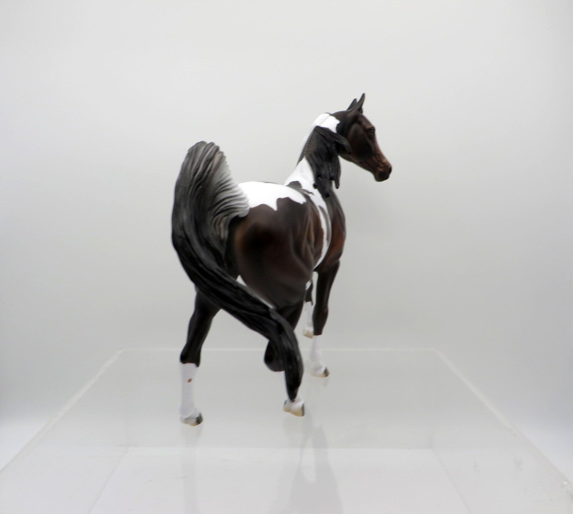 Jasmine-OOAK Bay Paint Arabian Mare SHCF 2021