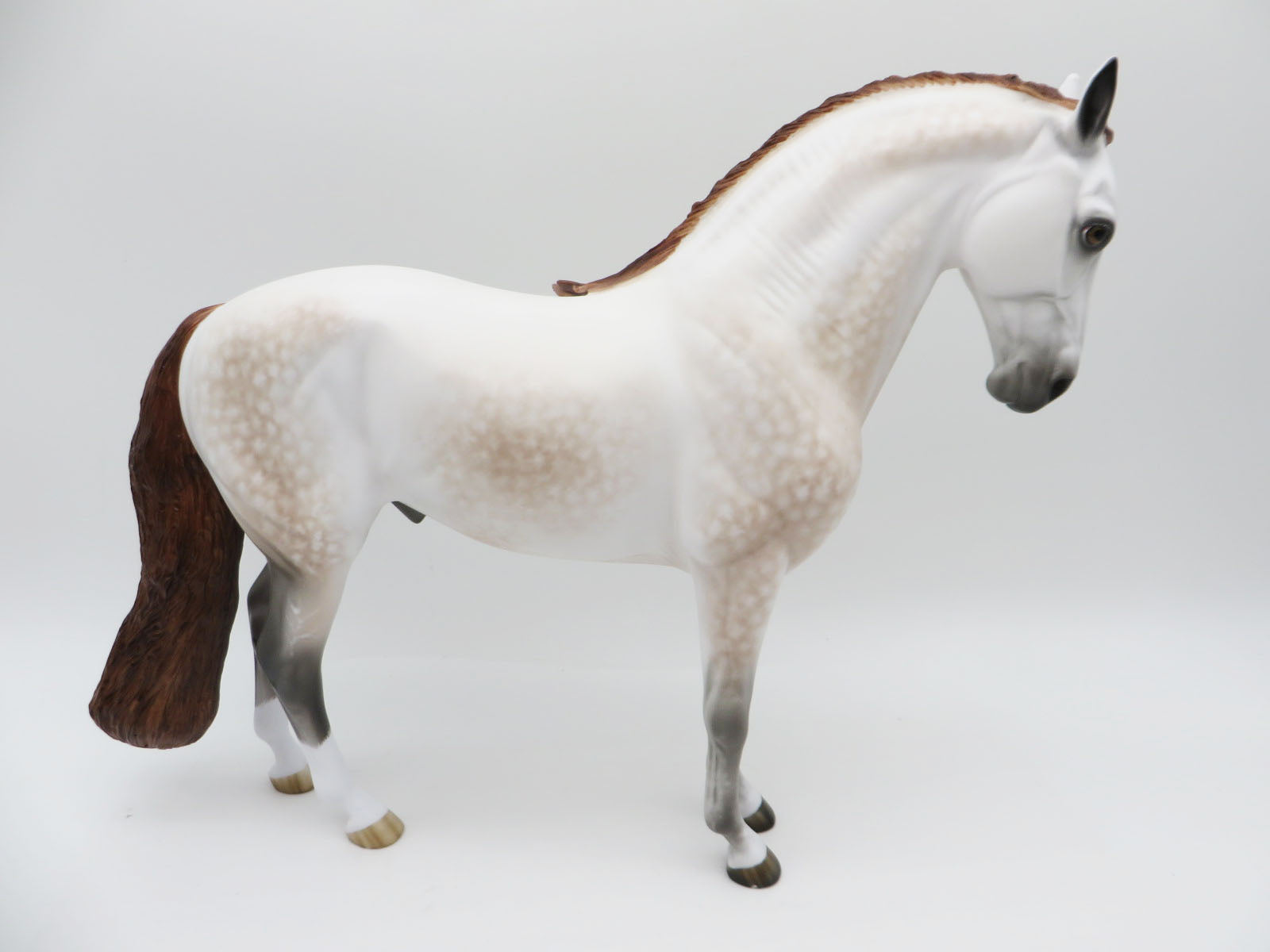 Jason - OOAK - Dappled Mulberry Andalusian by Sheryl Leisure - Best Offers 12/12/22