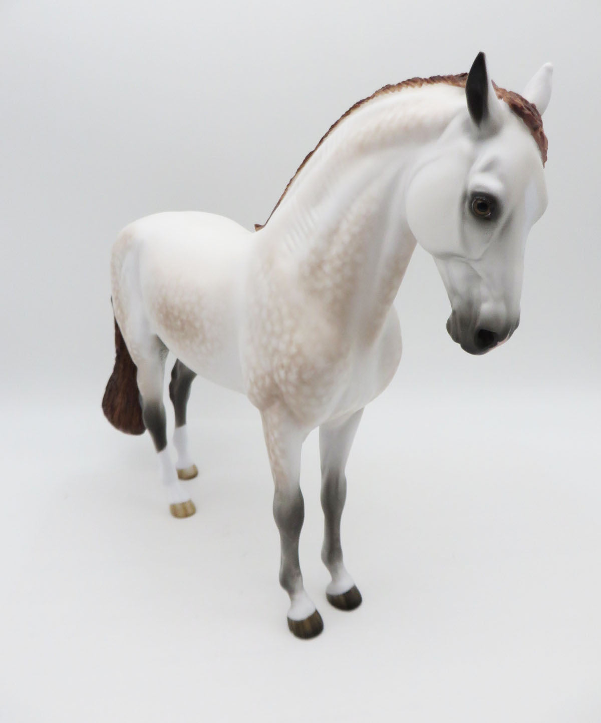 Jason - OOAK - Dappled Mulberry Andalusian by Sheryl Leisure - Best Offers 12/12/22