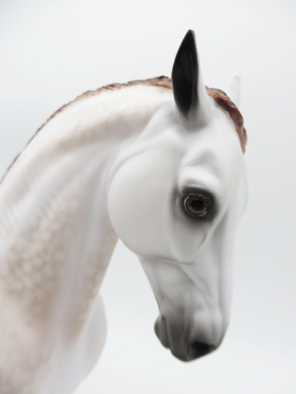Jason - OOAK - Dappled Mulberry Andalusian by Sheryl Leisure - Best Offers 12/12/22
