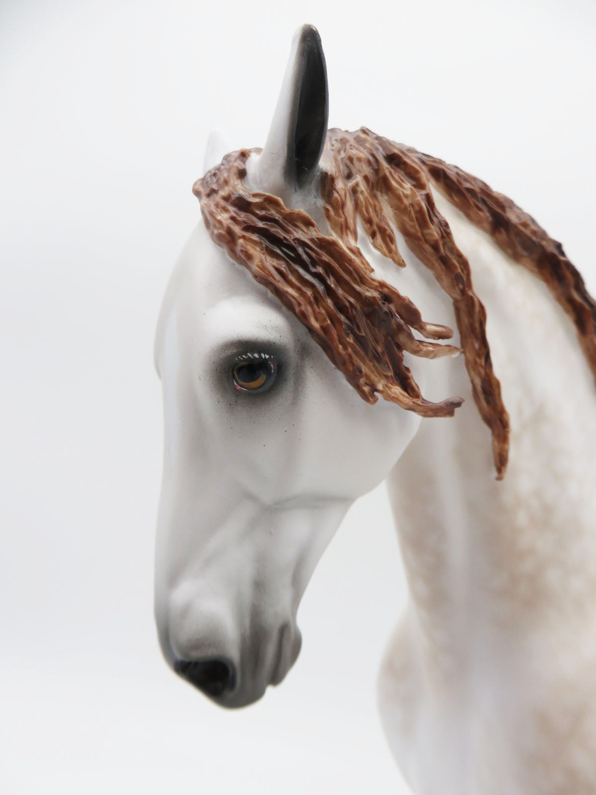 Jason - OOAK - Dappled Mulberry Andalusian by Sheryl Leisure - Best Offers 12/12/22