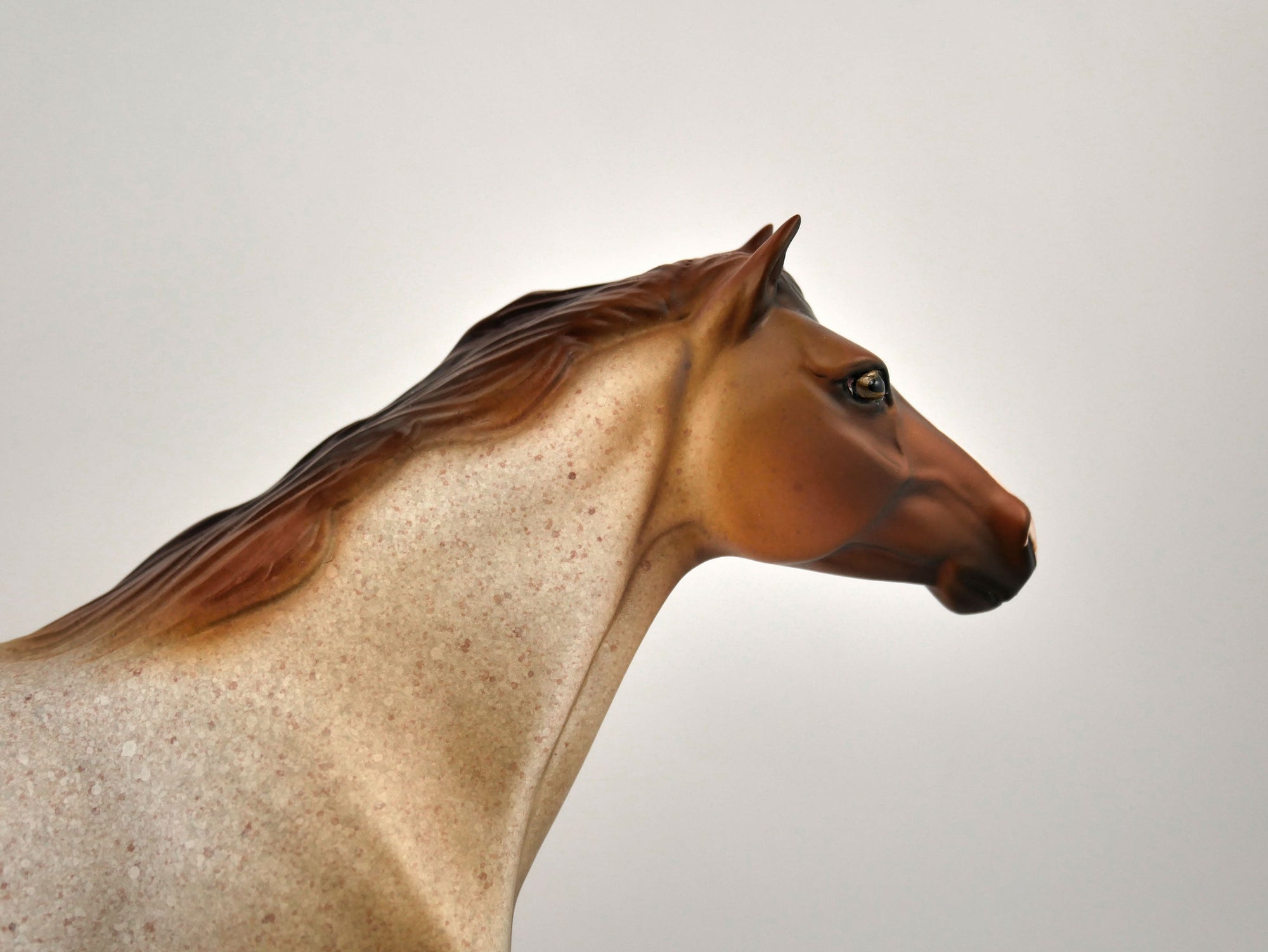 Jasper-OOAK Red Roan Mustang Painted by Dawn Quick