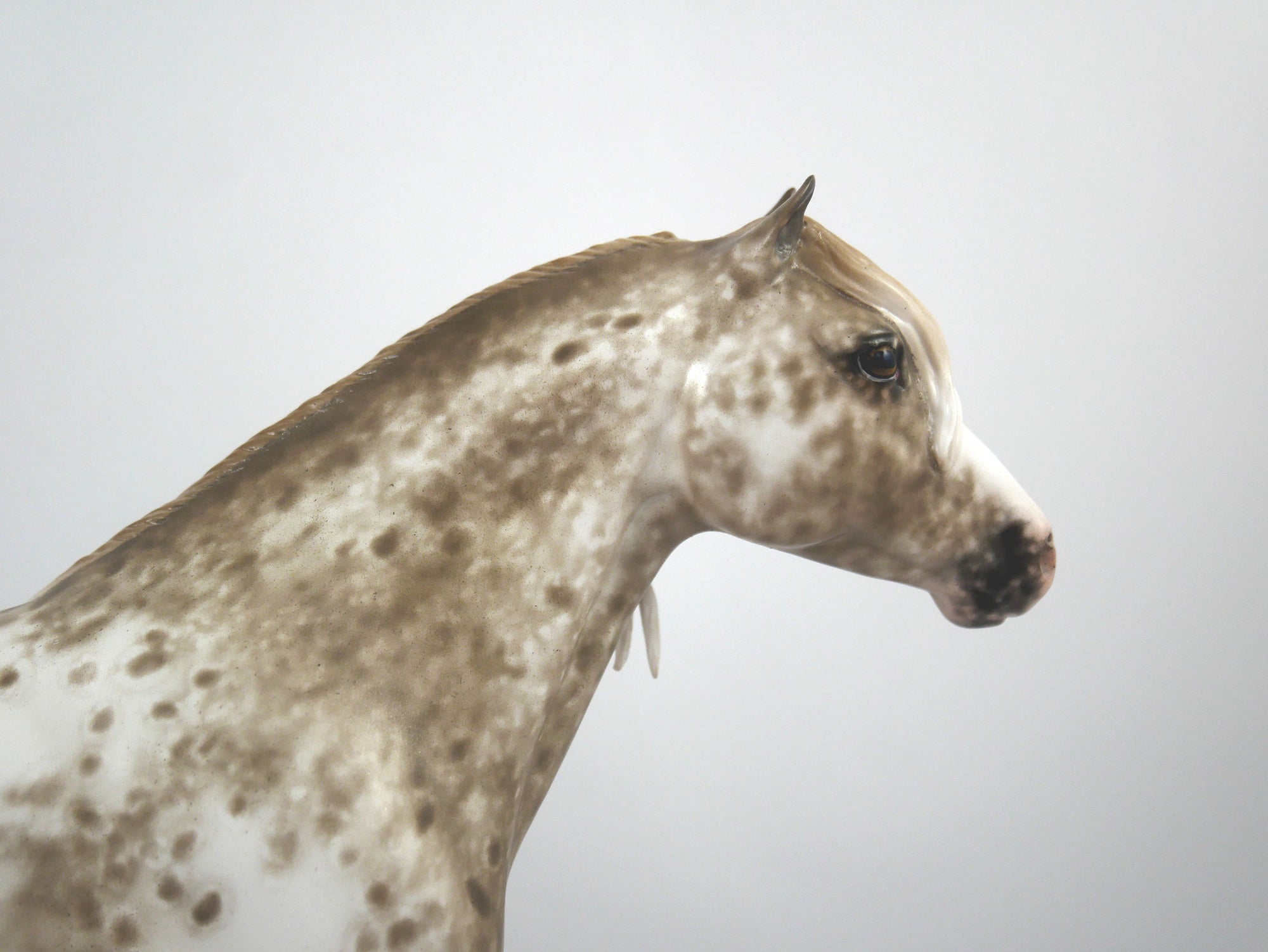 Jasper-OOAK Appaloosa Mustang By Sheryl Leisure 1/7/21