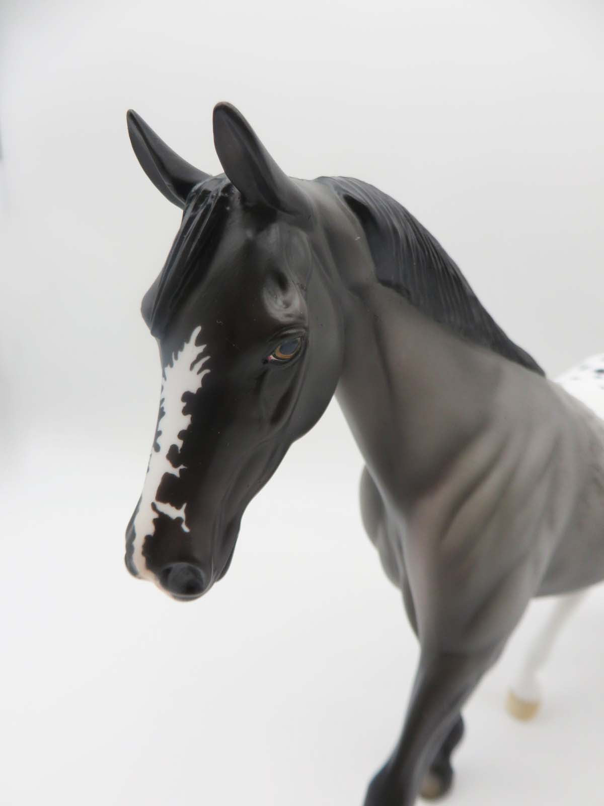 Jasper-OOAK Appaloosa Pony By Ellen Robbins P&amp;C 23