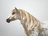 Jasper-OOAK Appaloosa Mustang By Sheryl Leisure 1/7/21
