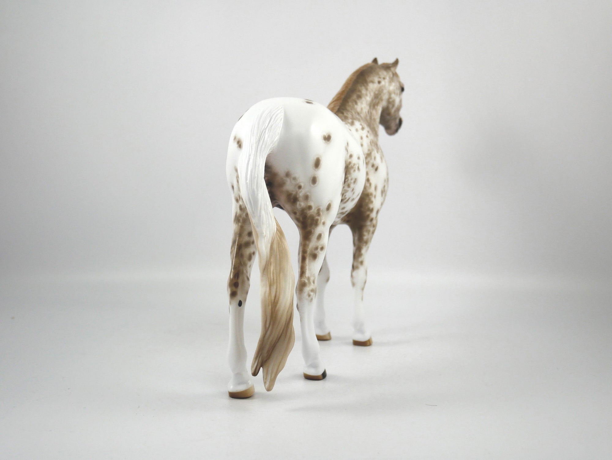 Jasper-OOAK Appaloosa Mustang By Sheryl Leisure 1/7/21