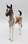 Jazz-OOAK Roan Pinto Foal by Dawn Quick P&amp;C 23