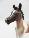 Jazz-OOAK Roan Pinto Foal by Dawn Quick P&amp;C 23