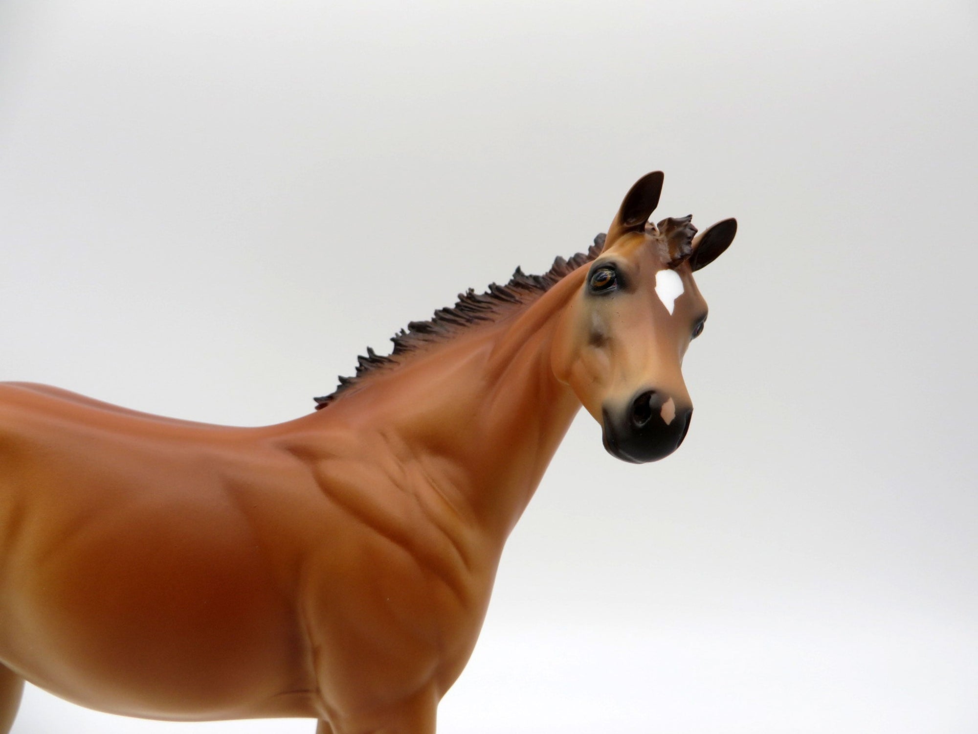 Lainey and Jenna Chestnut ISH and Foal Set 4/23/21