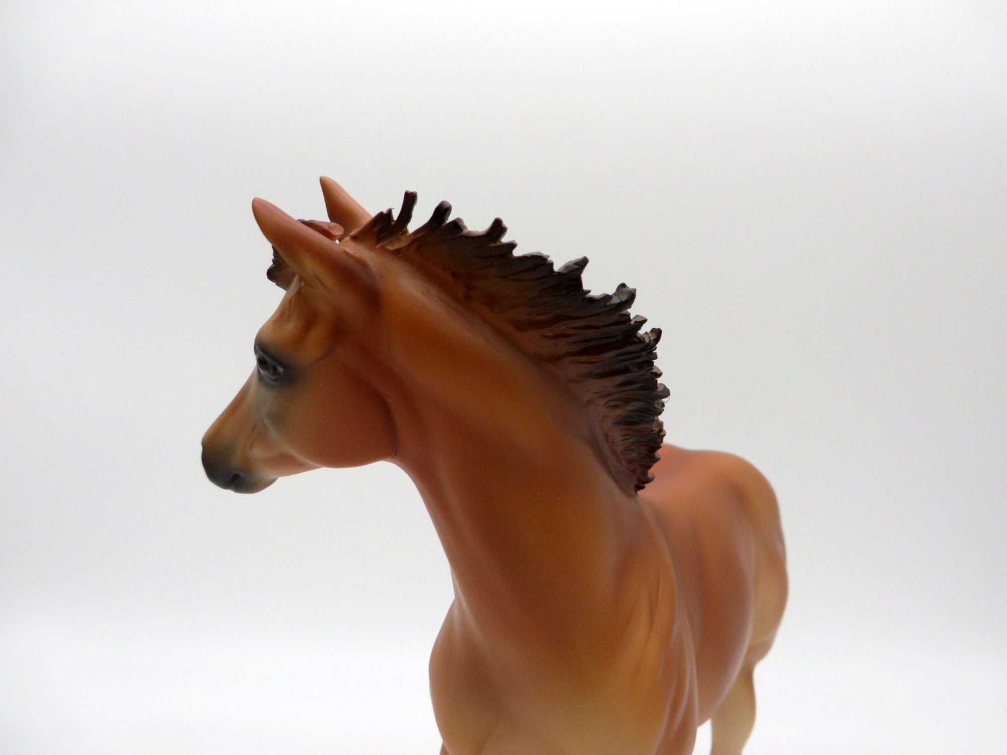 Lainey and Jenna Chestnut ISH and Foal Set 4/23/21