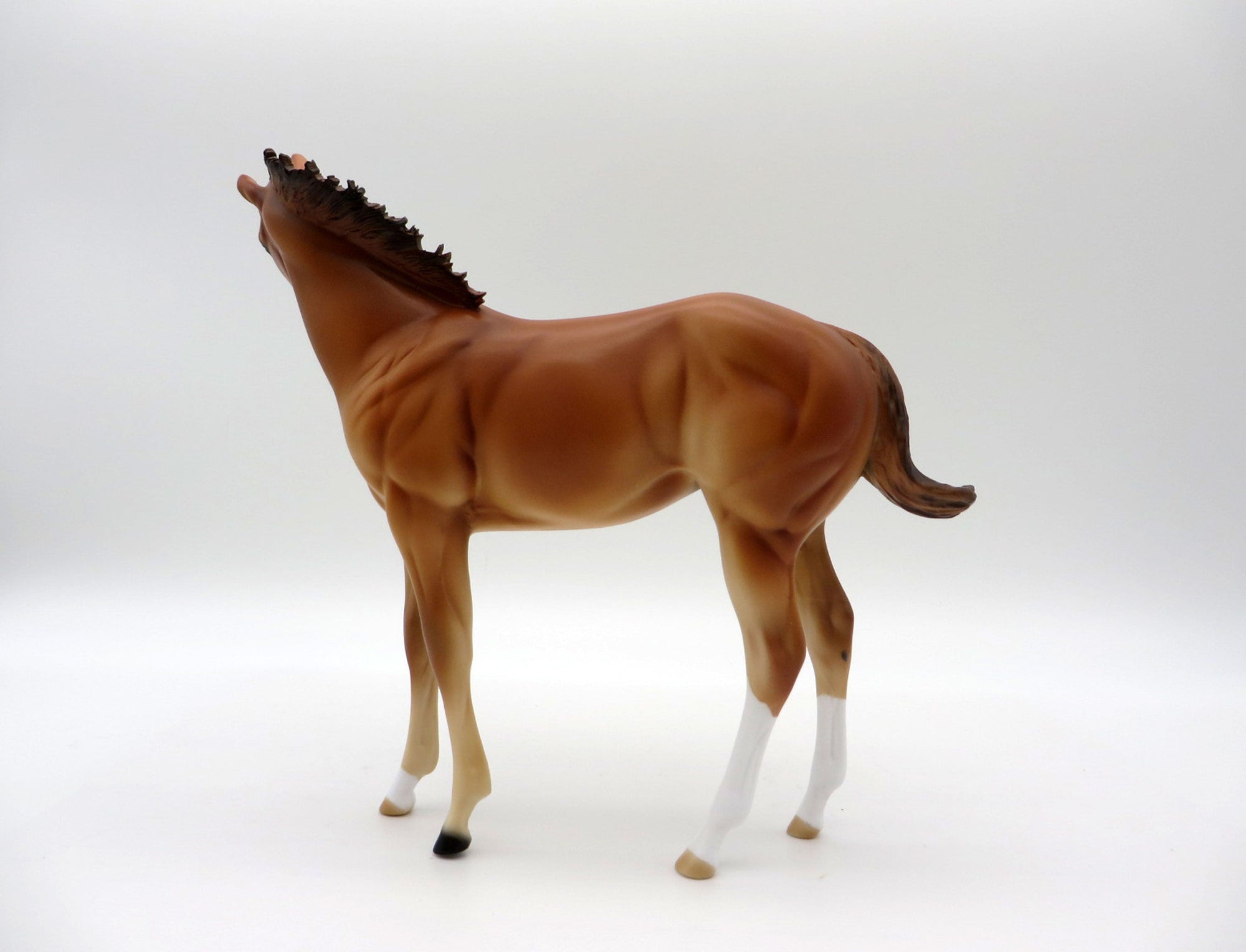 Lainey and Jenna Chestnut ISH and Foal Set 4/23/21