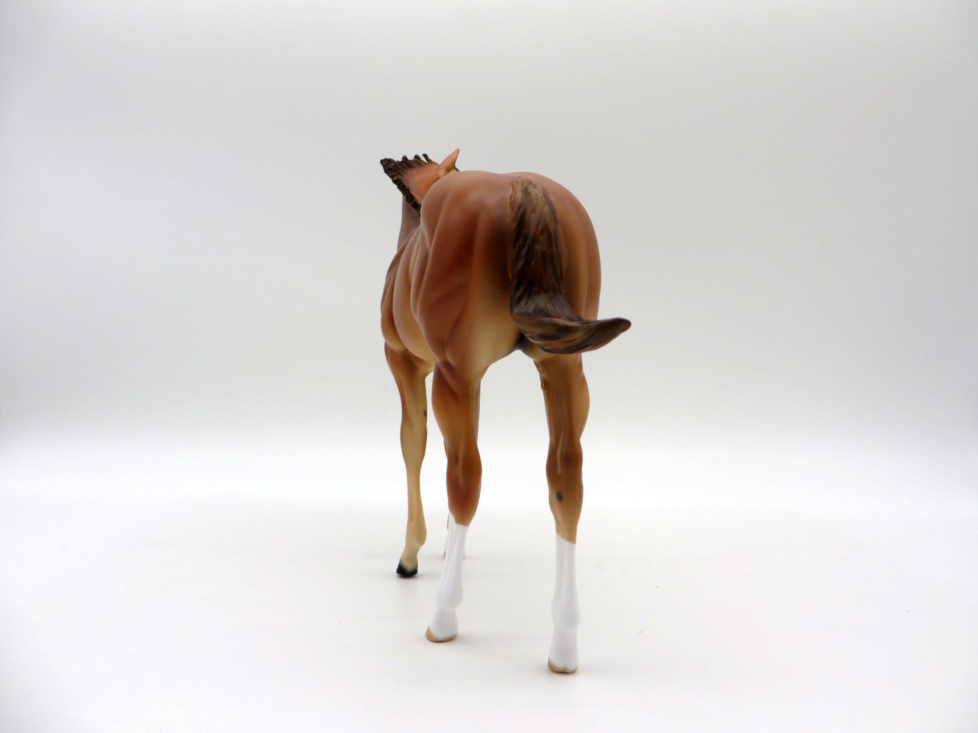 Lainey and Jenna Chestnut ISH and Foal Set 4/23/21