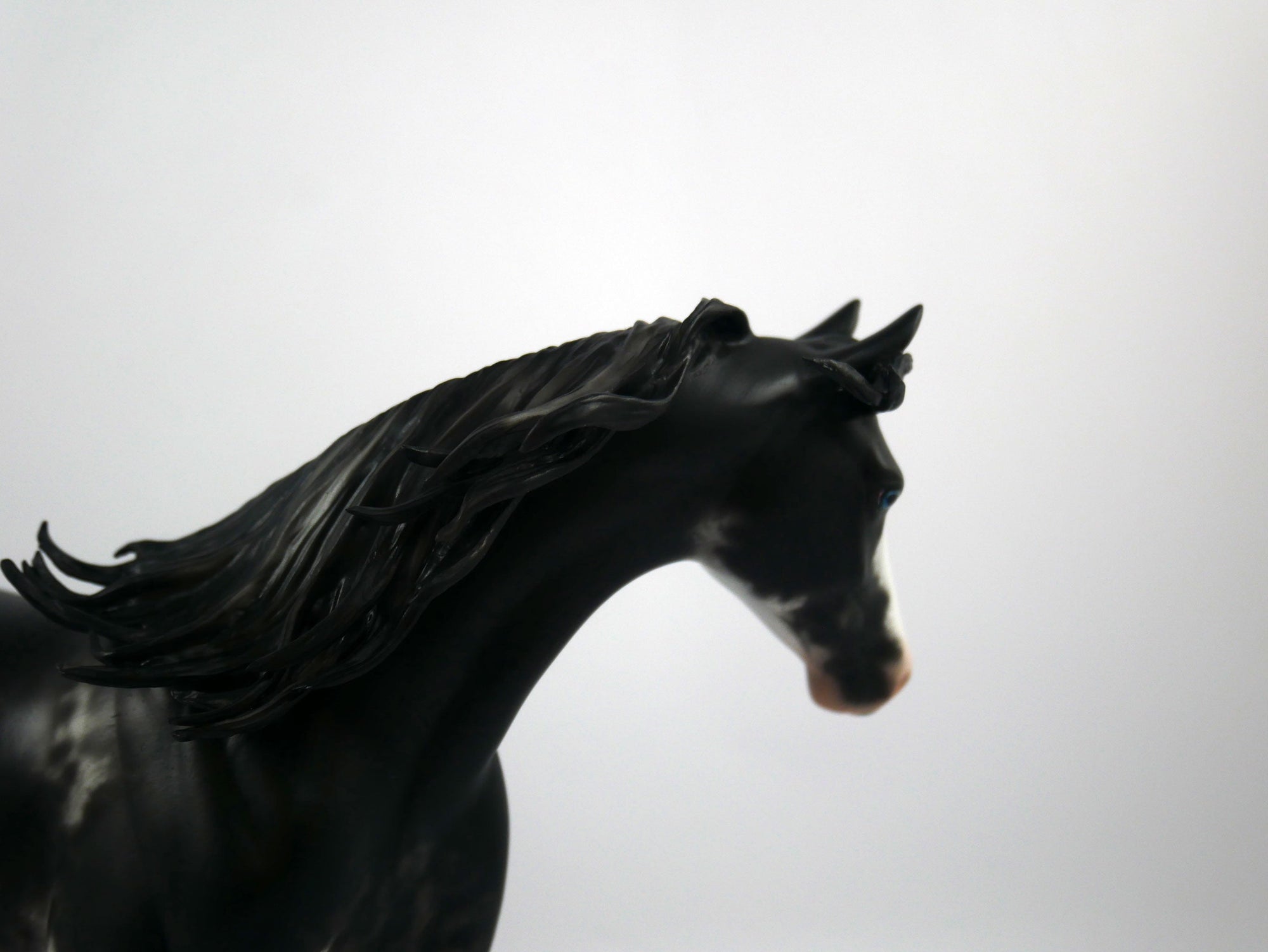 Jericho Cane-OOAK Black Sabino Pony  Painted By Sheryl Leisure 1/15/21