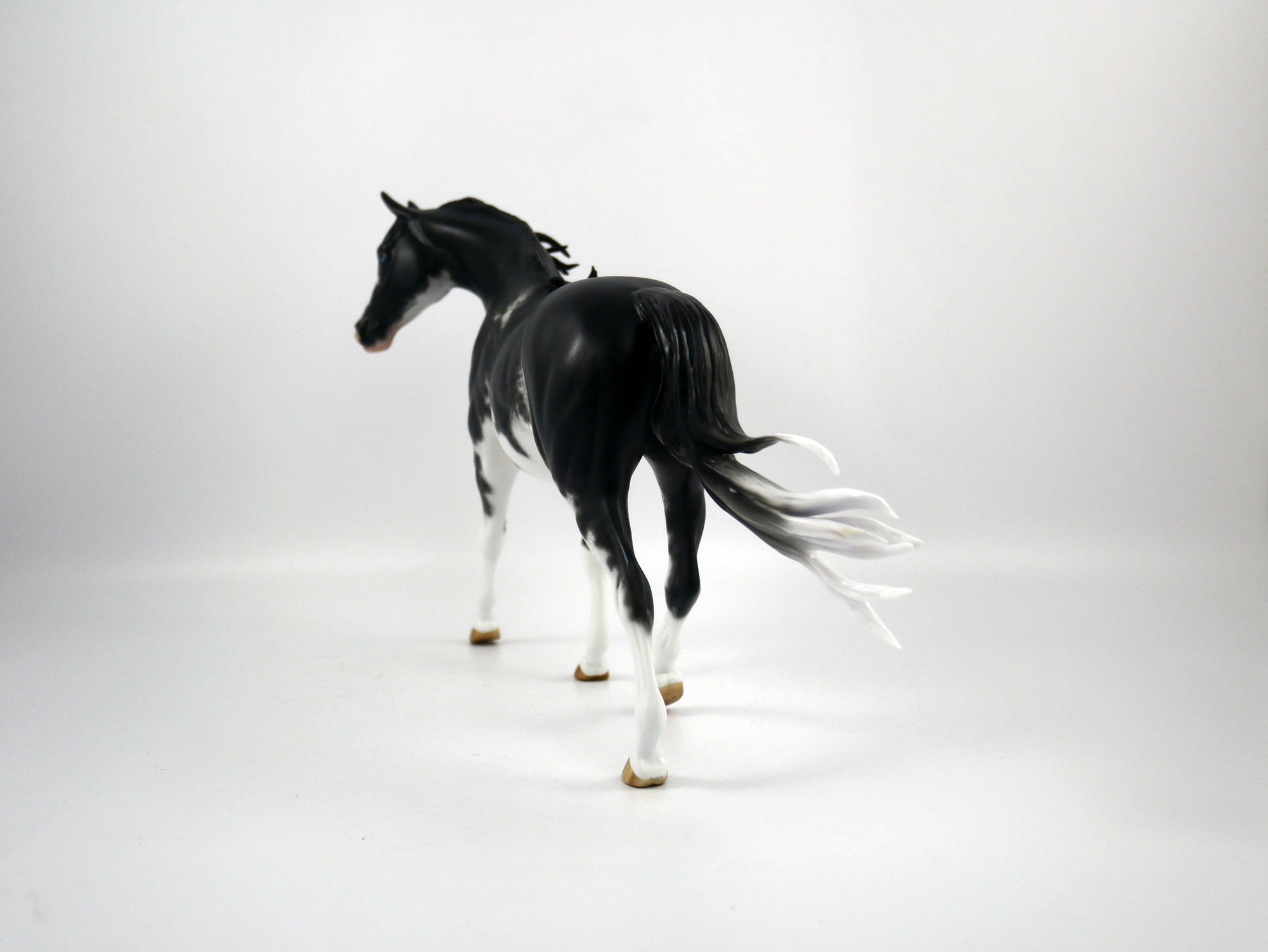 Jericho Cane-OOAK Black Sabino Pony  Painted By Sheryl Leisure 1/15/21